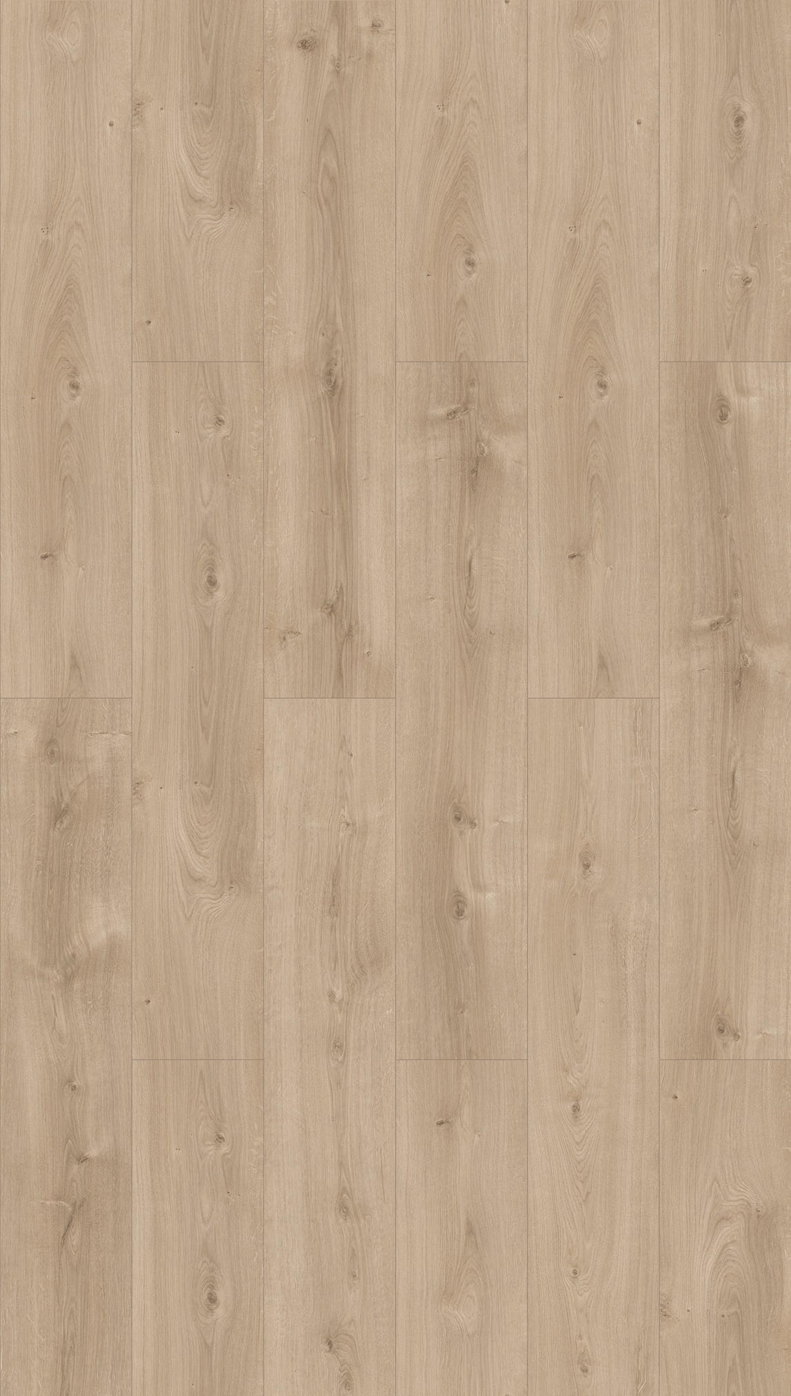 Image of PARADOR Laminat »Basic 600 - Eiche Avant Geschliffen«, (Packung), Kantenimprägnierung, 1285 x 243 mm, Stärke: 8 mm bei Ackermann Versand Schweiz
