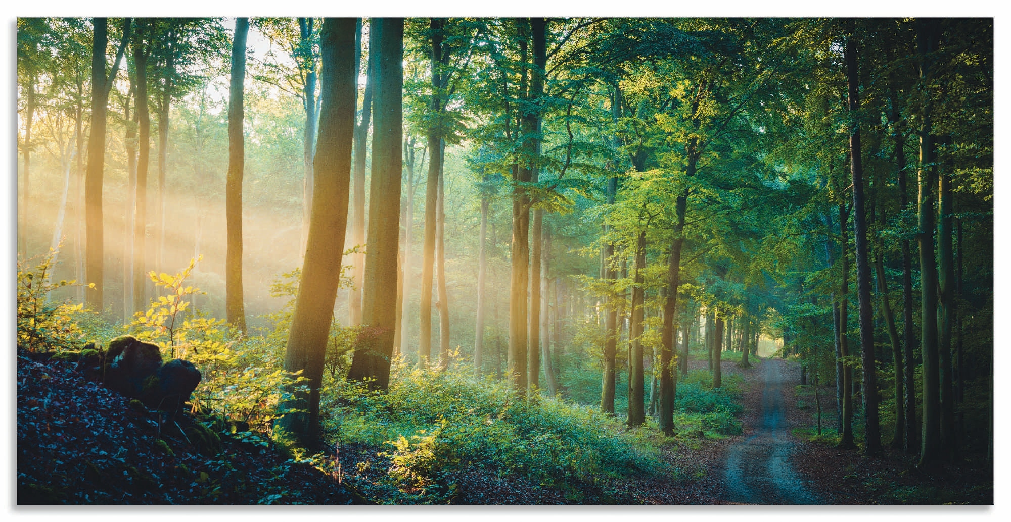 Image of Artland Alu-Dibond-Druck "Herbstmorgen im Wald" Waldbilder 1 Stk. tlg. für Innen- und Aussenbereich geeignet, Outdoorbild
