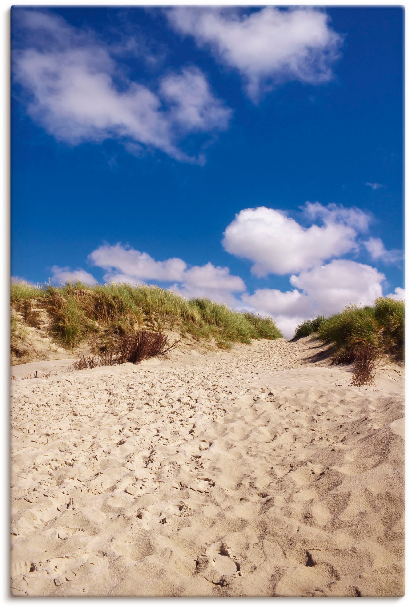 Image of Artland Wandbild »Dünenweg - Insel Amrum«, Küste, (1 St.), in vielen Grössen & Produktarten - Alubild / Outdoorbild für den Aussenbereich, Leinwandbild, Poster, Wandaufkleber / Wandtattoo auch für Badezimmer geeignet bei Ackermann Versand Schweiz