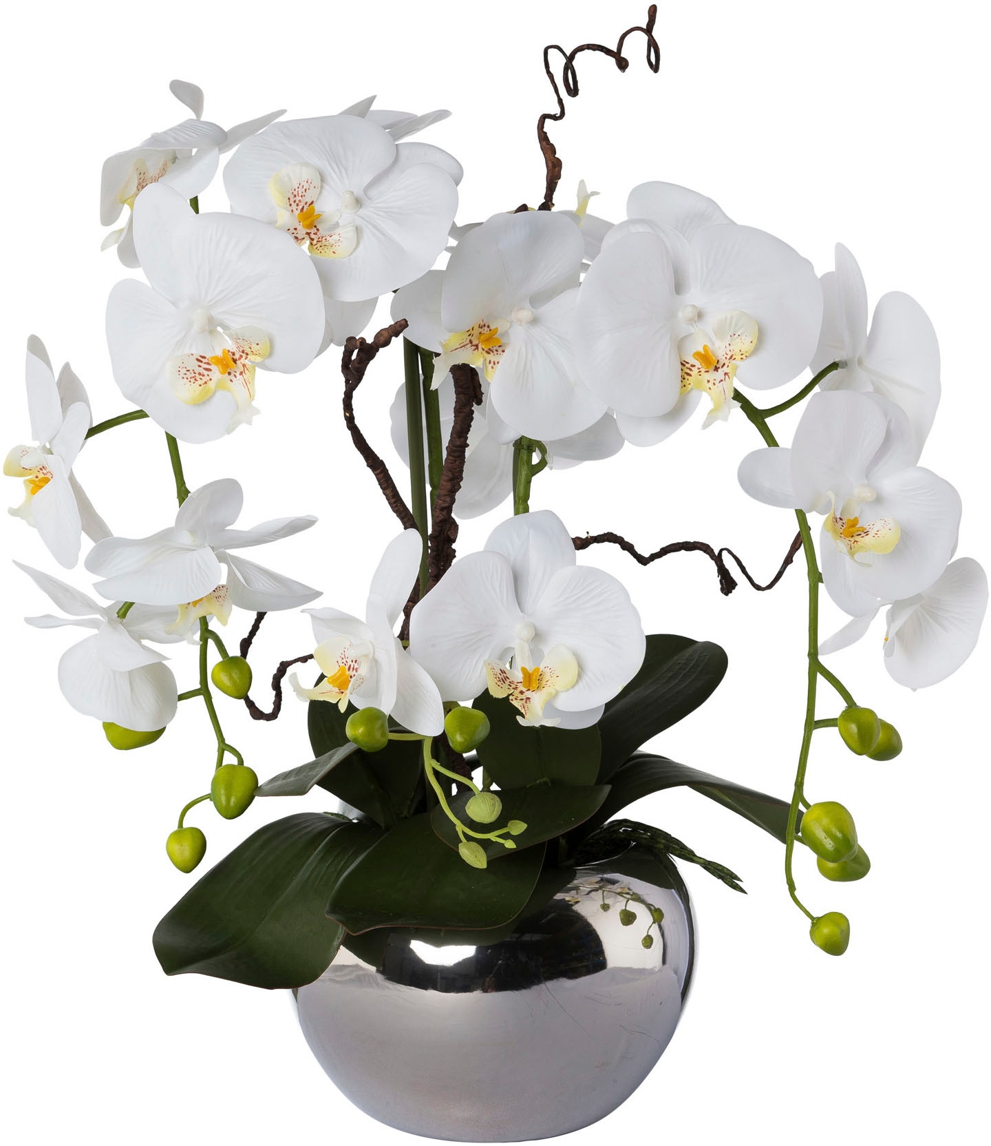 Creativ green Kunstorchidee »Phalaenopsis«, im Keramiktopf