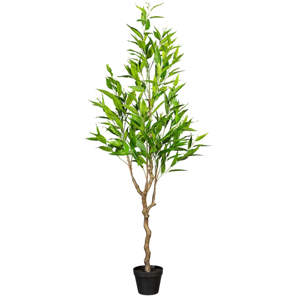 Creativ green Kunstbaum »Eukalypthus«