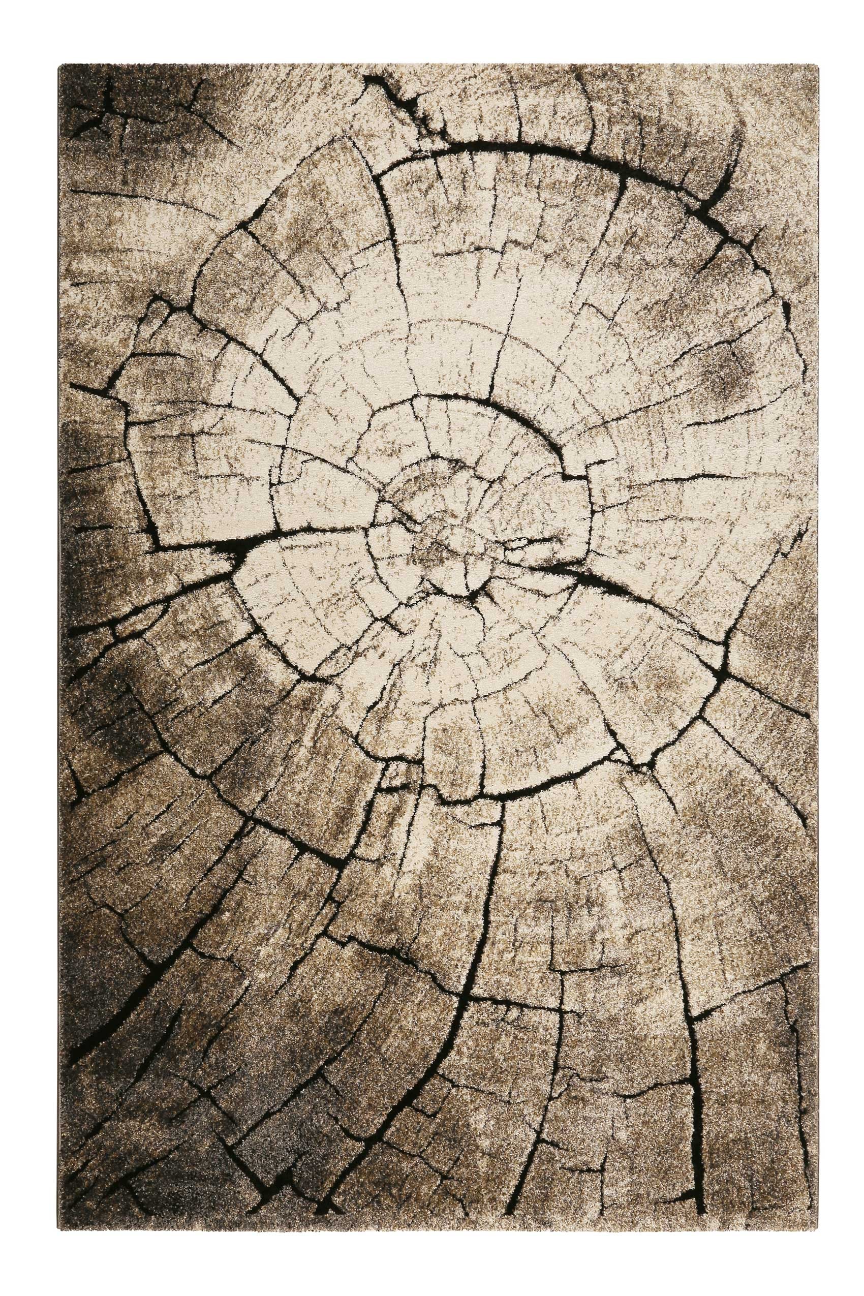 Image of Wecon home Teppich "Wild Oak" rechteckig 13 mm Höhe Holz Optik, Wohnzimmer