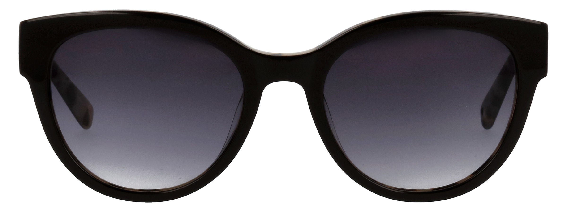 BRENDEL eyewear Lunettes de soleil »Modell 906209« Form Panto, Logoschriftzug auf Bügel, Kunststofffassung