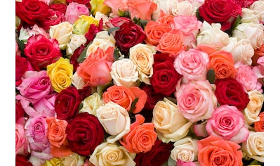 Papermoon Fototapete »Roses« kaufen