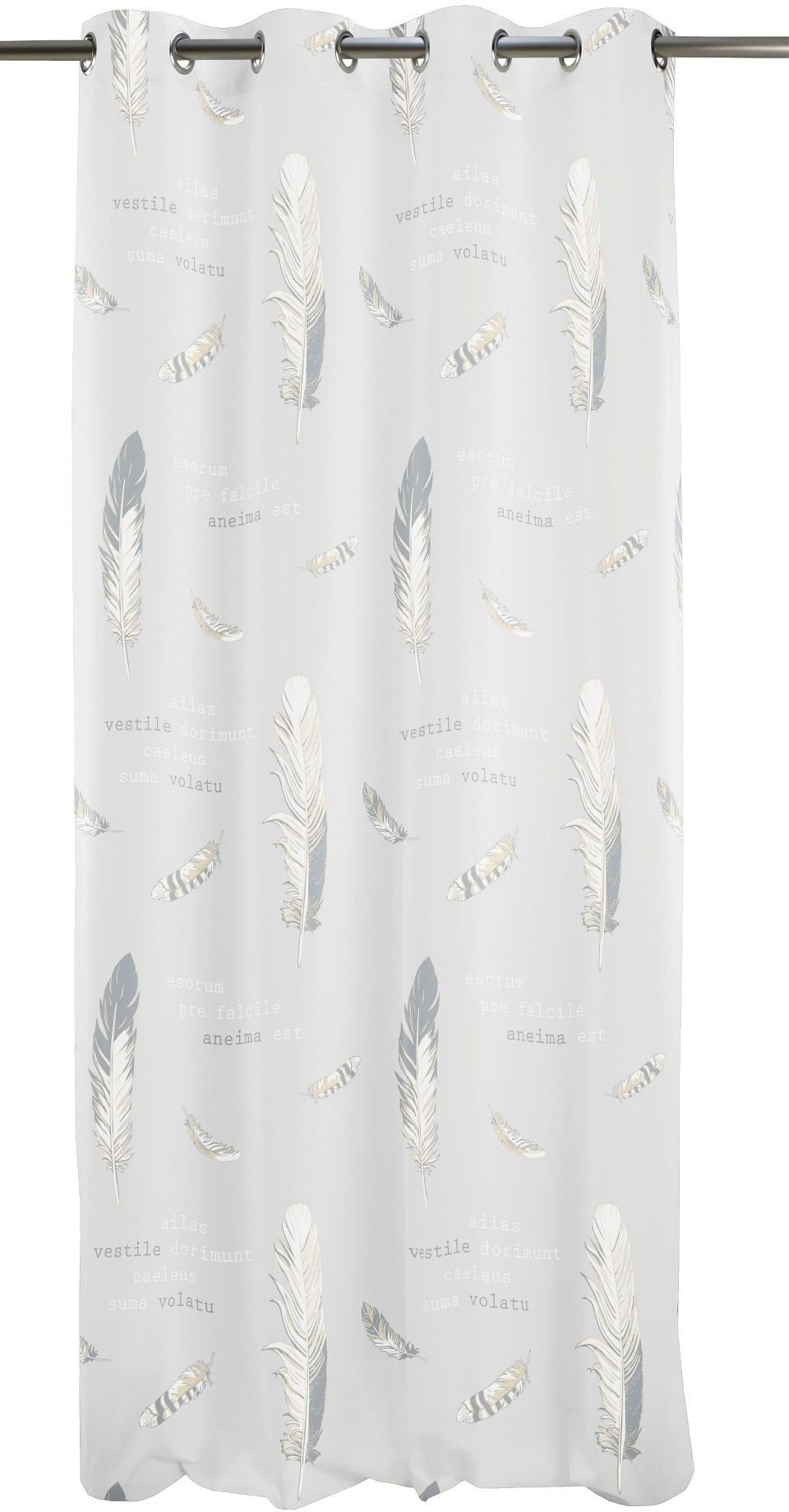 Image of APELT Vorhang »Ikarus«, (1 St.), HxB: 245x122 bei Ackermann Versand Schweiz