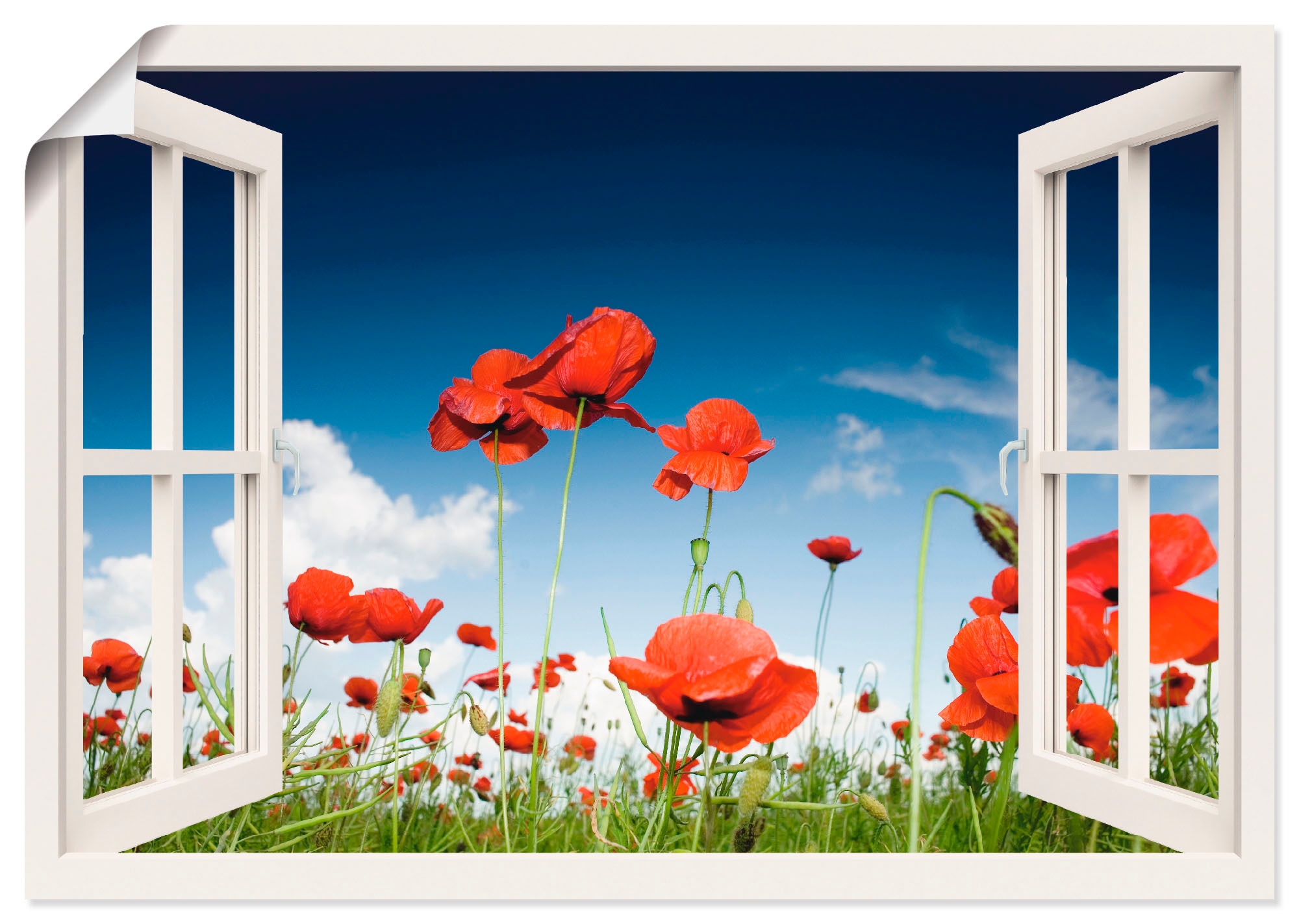 Artland Poster »Fensterblick Feld mit Mohnblumen« Fensterblick 1 Stk. tlg. ohne Rahmen