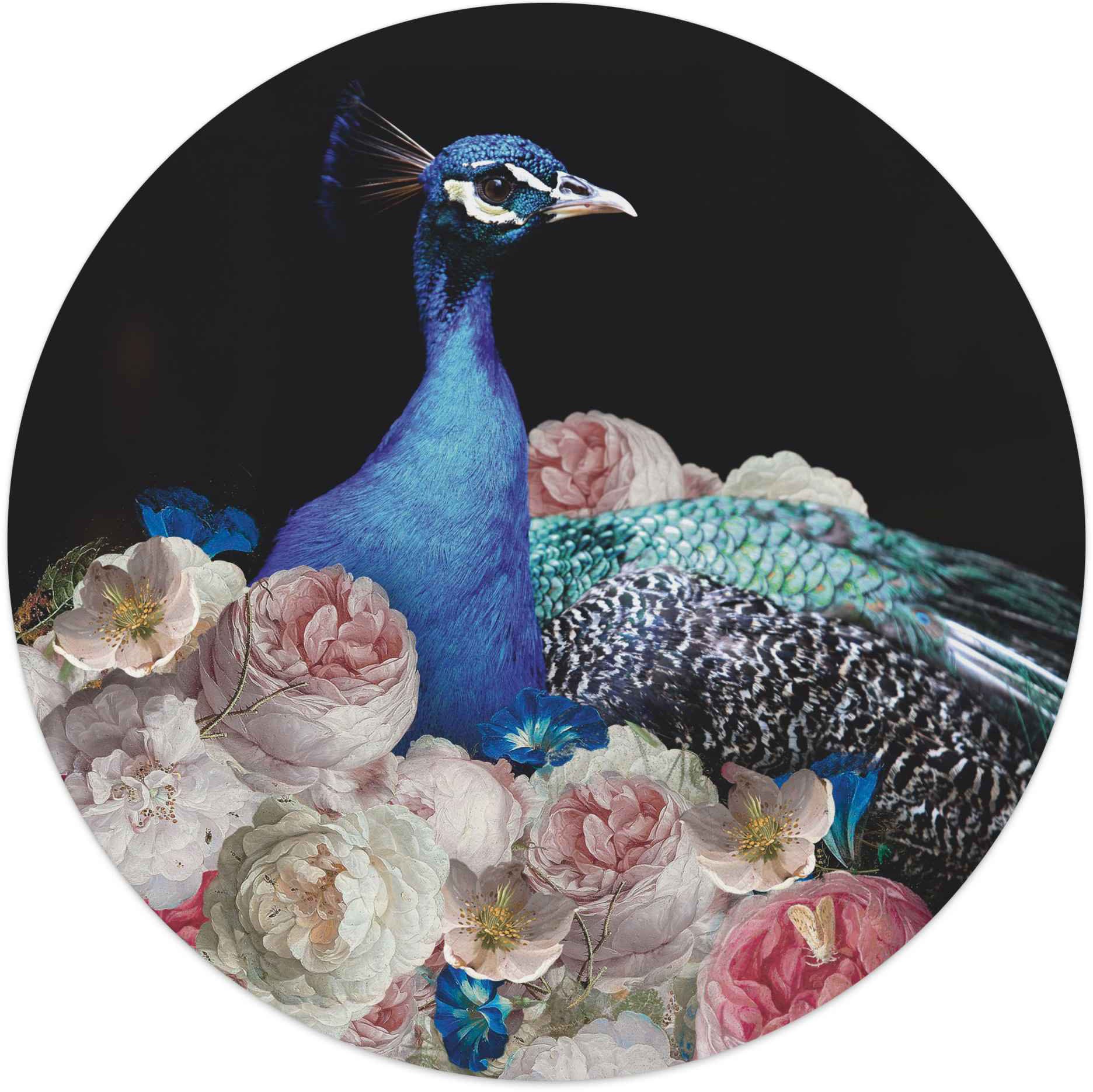 Image of Reinders! Wandbild »Wandbild Pfau Tiermotiv - Vogel - Blumen - Modern«, Pfau, (1 St.) bei Ackermann Versand Schweiz