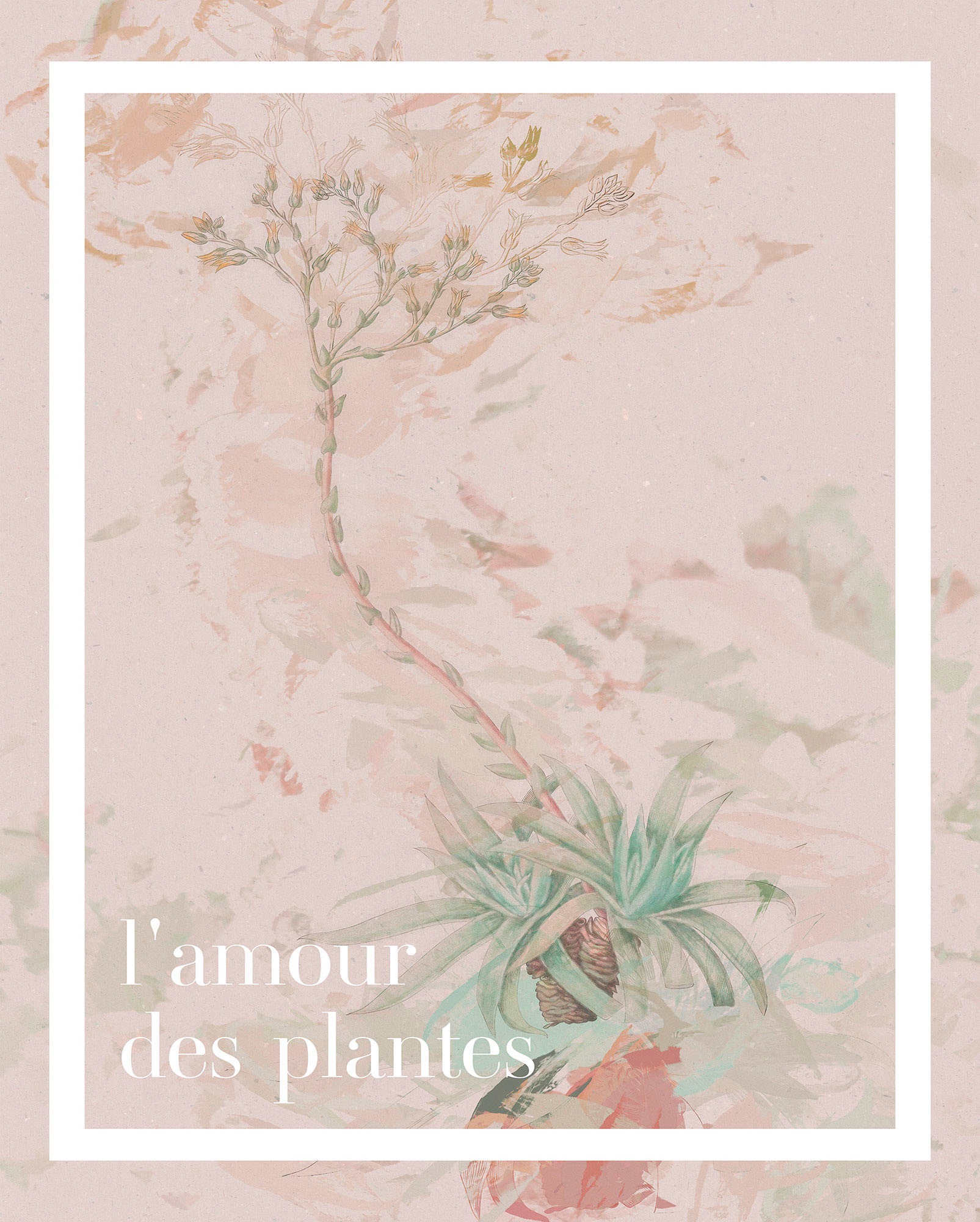 Image of Komar Wandbild »L'amour des plantes«, (1 St.), Deutsches Premium-Poster Fotopapier mit seidenmatter Oberfläche und hoher Lichtbeständigkeit. Für fotorealistische Drucke mit gestochen scharfen Details und hervorragender Farbbrillanz. bei Ackermann Versand 