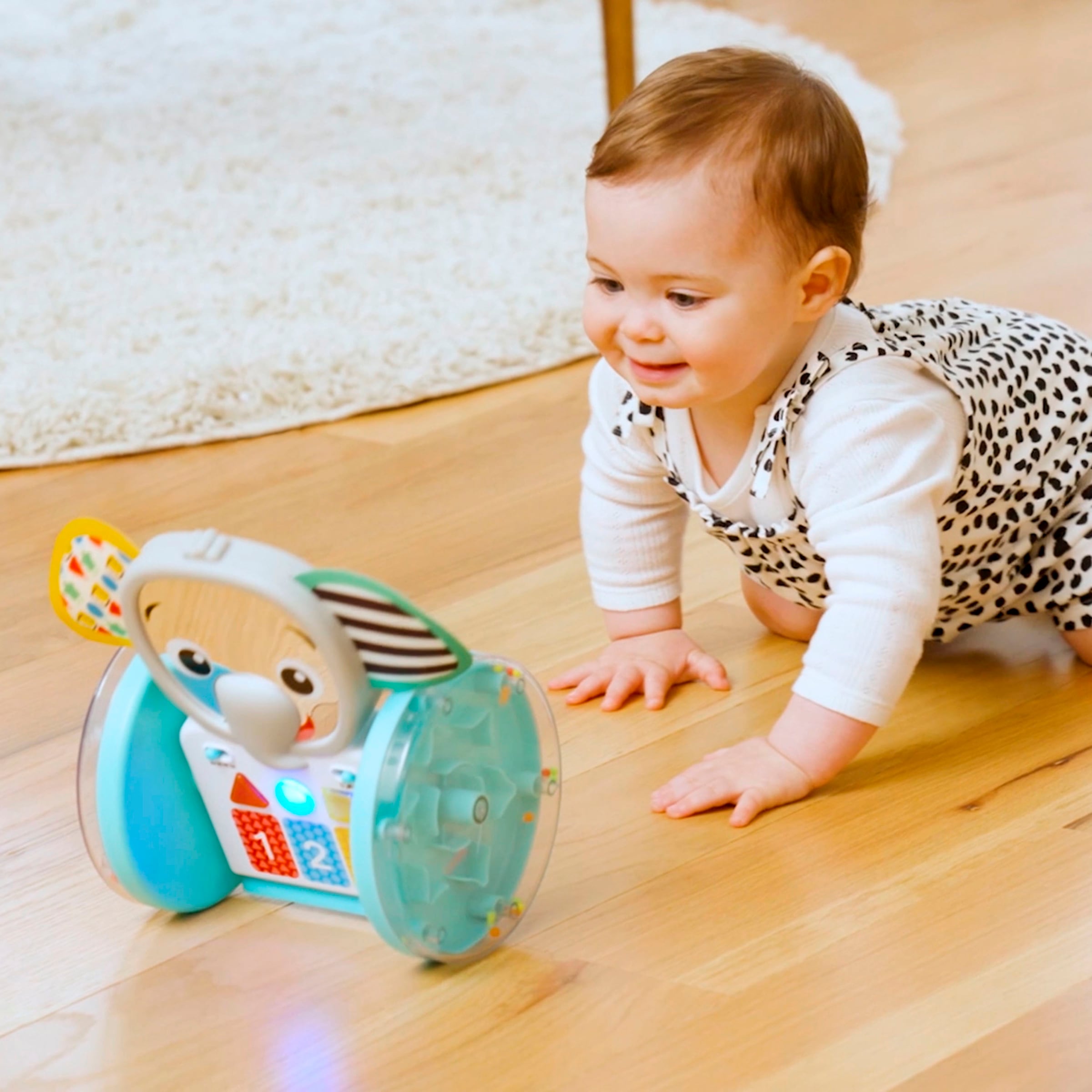 Baby Einstein Jouets éducatifs »Chase & Tap Earl  Interactive Crawling Toy«