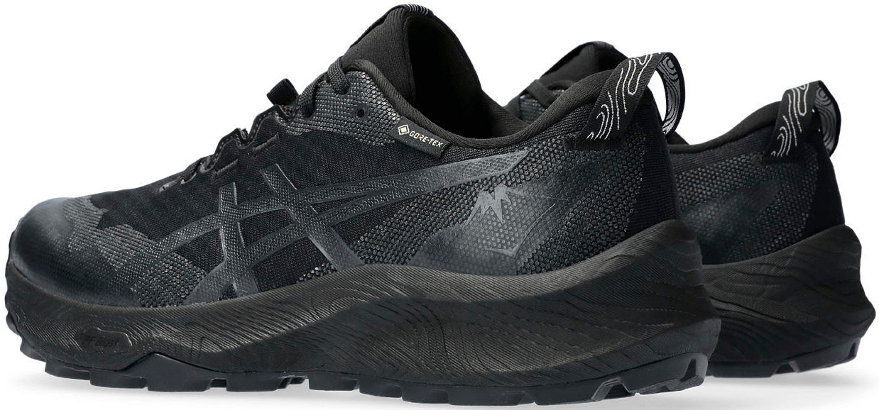 Asics Trailrunningschuh »GEL-TRABUCO 12 GTX«, Wasserdicht