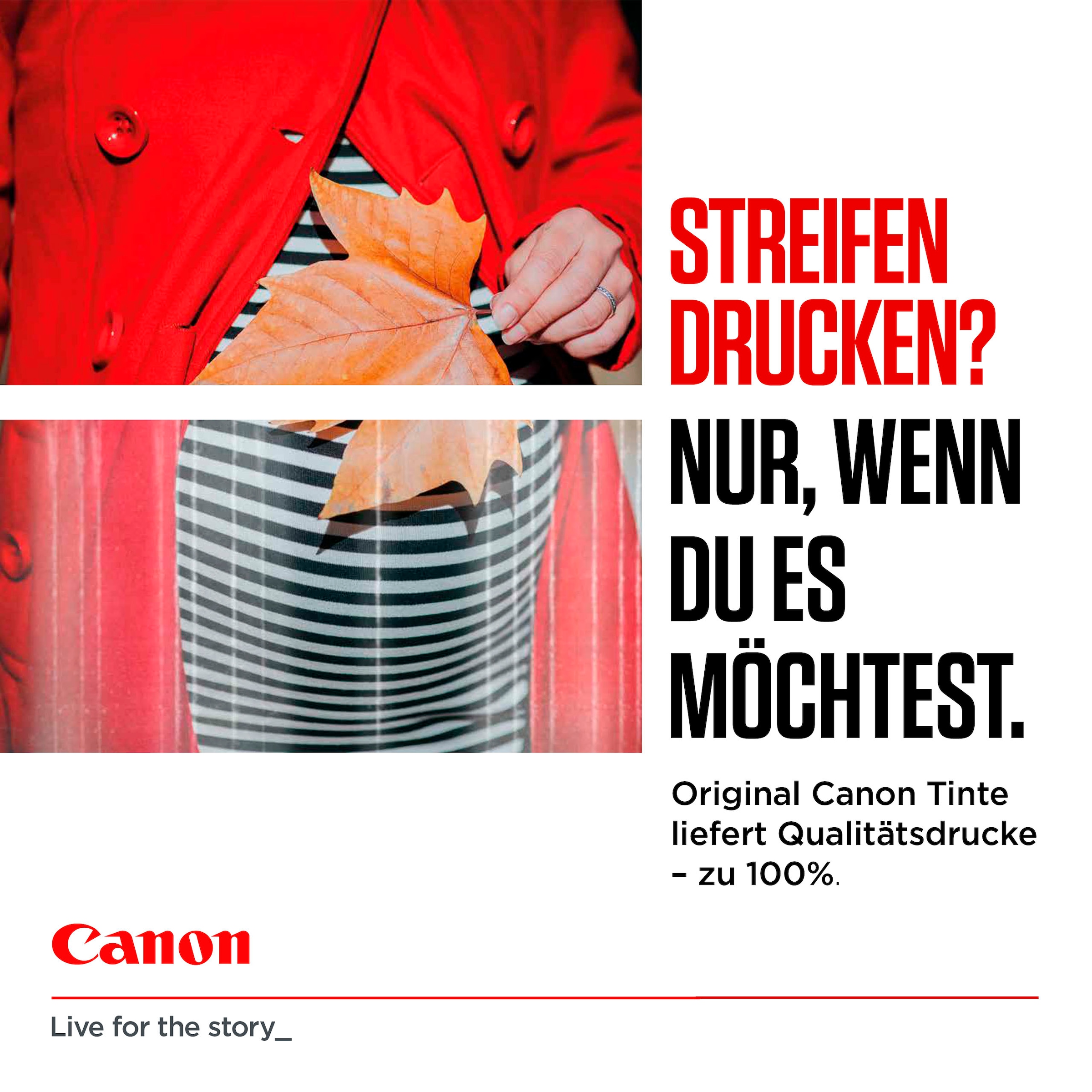 Canon Tintenpatrone »PG-560XL x2/CL-561XL Photo Value Pack«, (Packung, 3 St.)