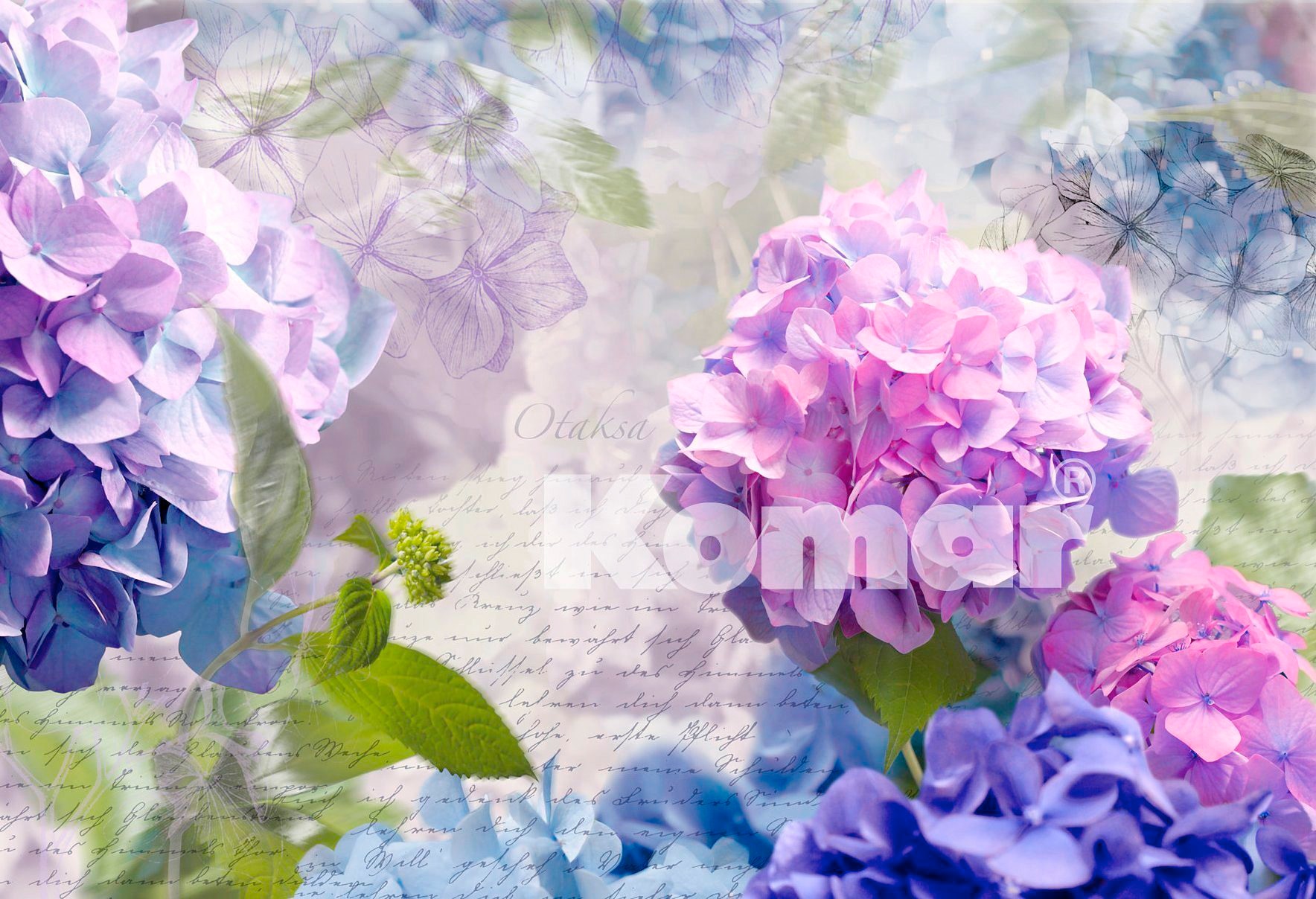 Image of Komar Fototapete "Otaksa - Grösse 368 x 254 cm" bedruckt glatt Wohnzimmer, Schlafzimmer