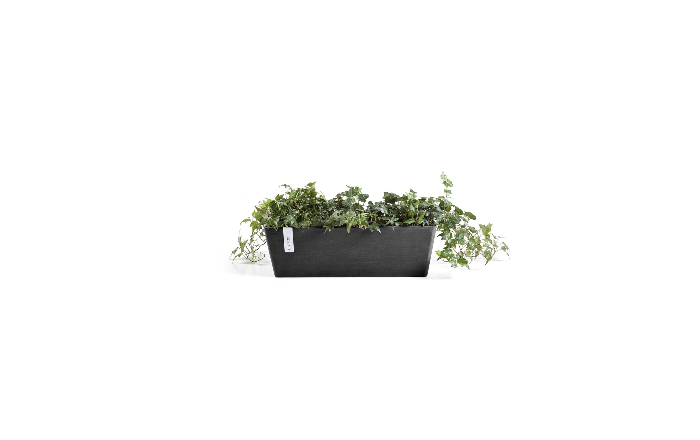 ECOPOTS Blumentopf "Bruges 45 Dunk"