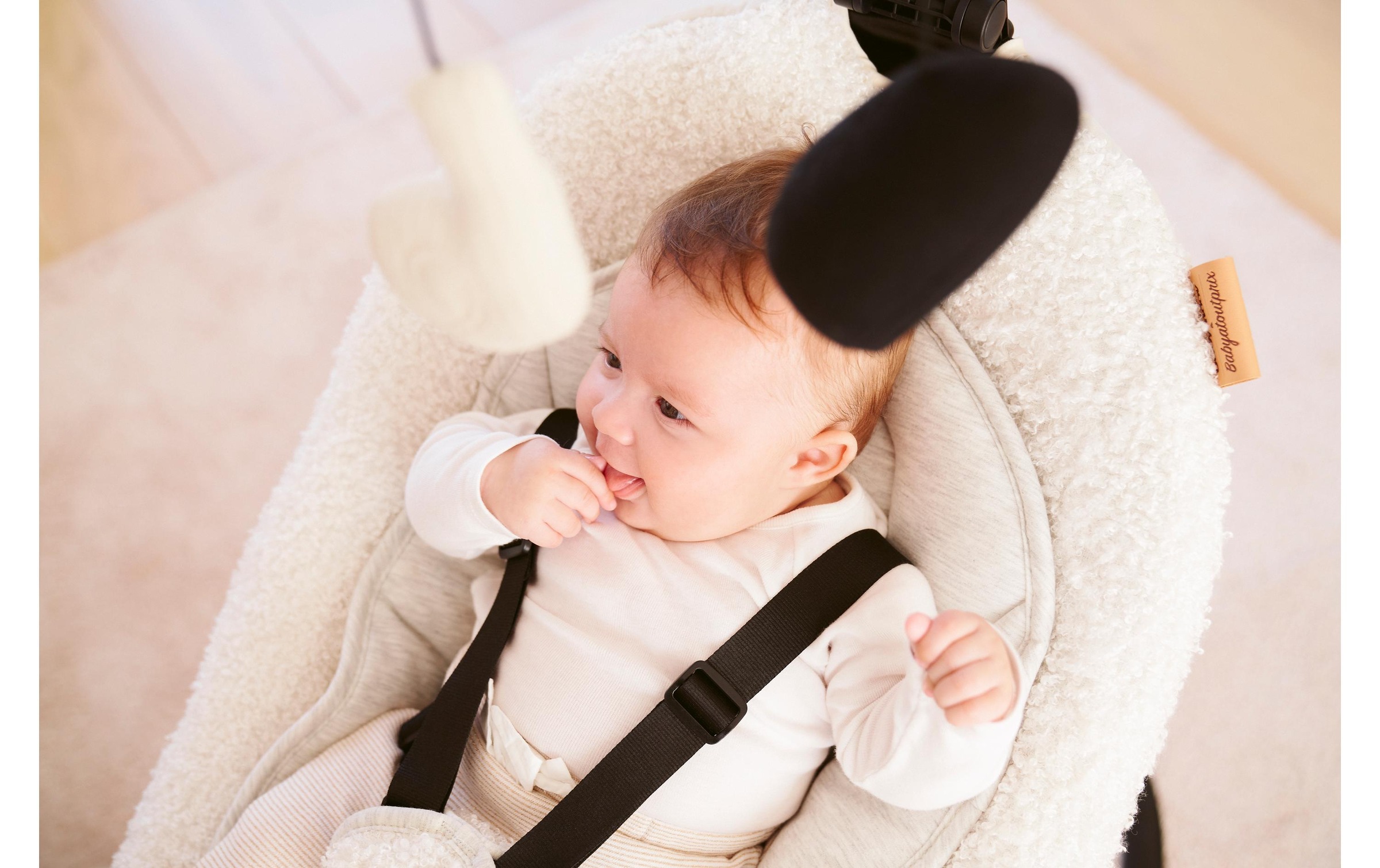 BABYMOOV Babyschaukel »Swoon Evolution«, bis 9 kg