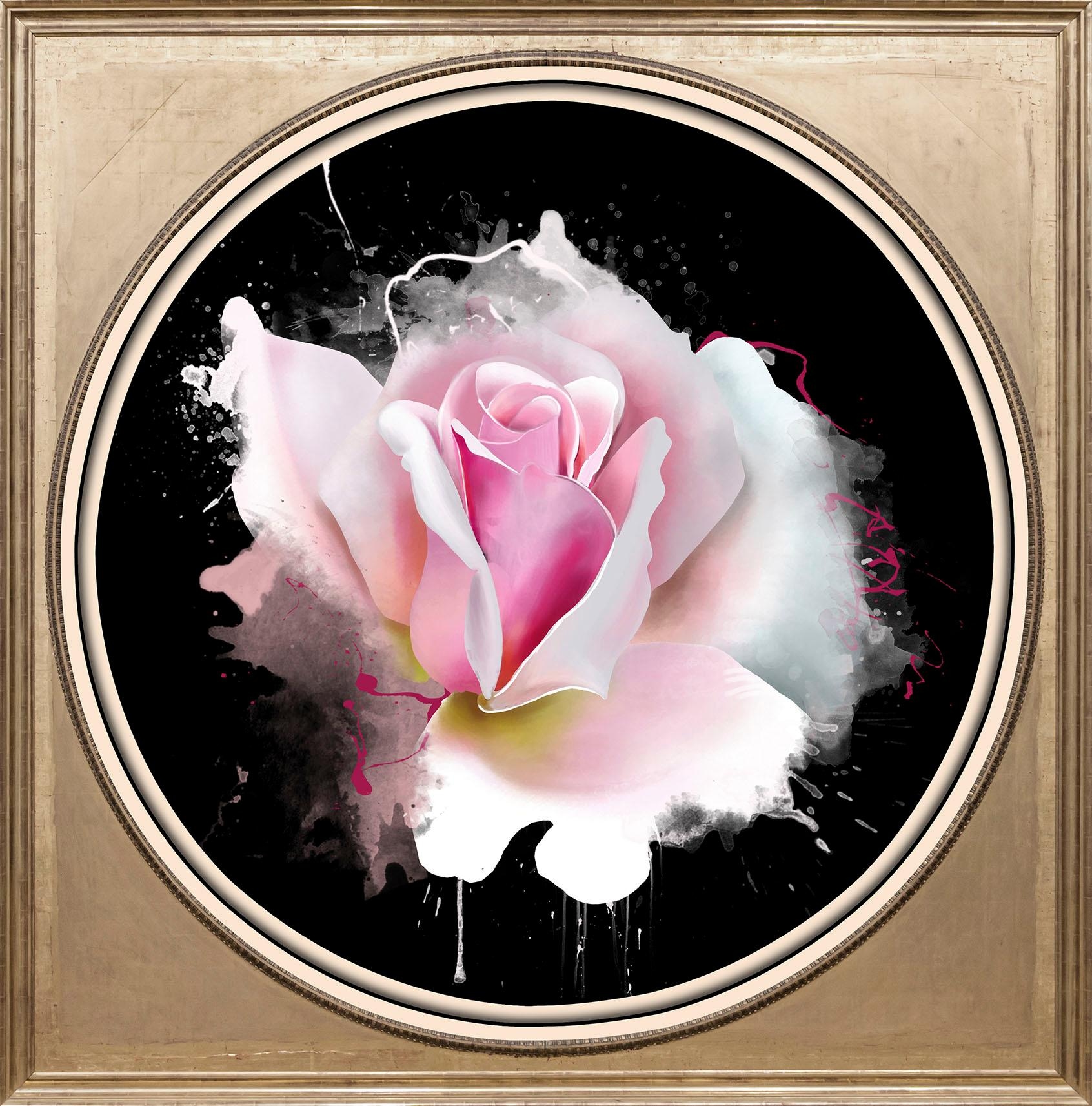 Image of queence Acrylglasbild "Rosa Rose" Blumen Blumenbilder Gemälde Kunst Pflanzen Pflanzenbilder Fine Art-Print in Galeriequalität