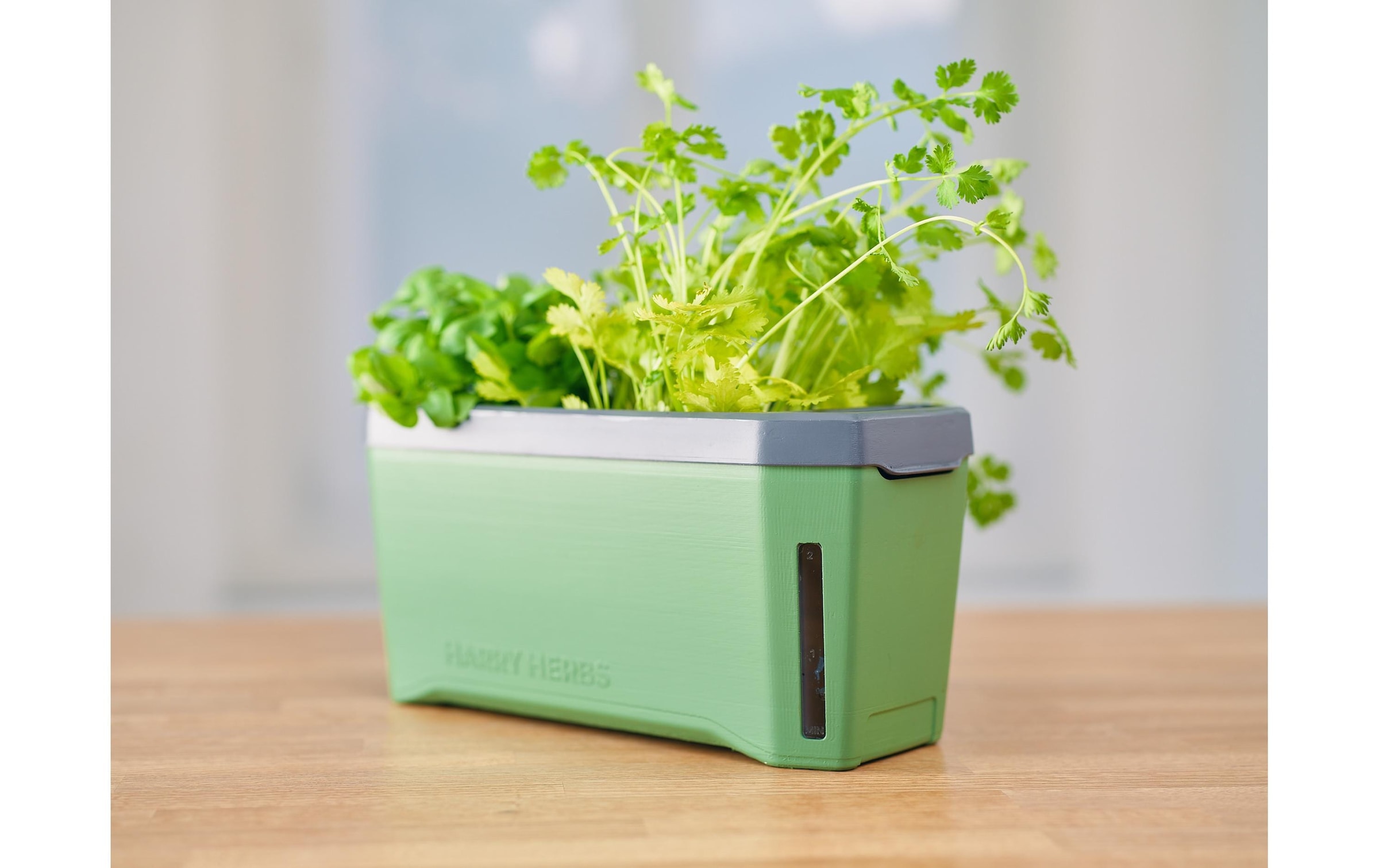 Gusta Garden Kräutertopf »HERBS dunkelgrün«