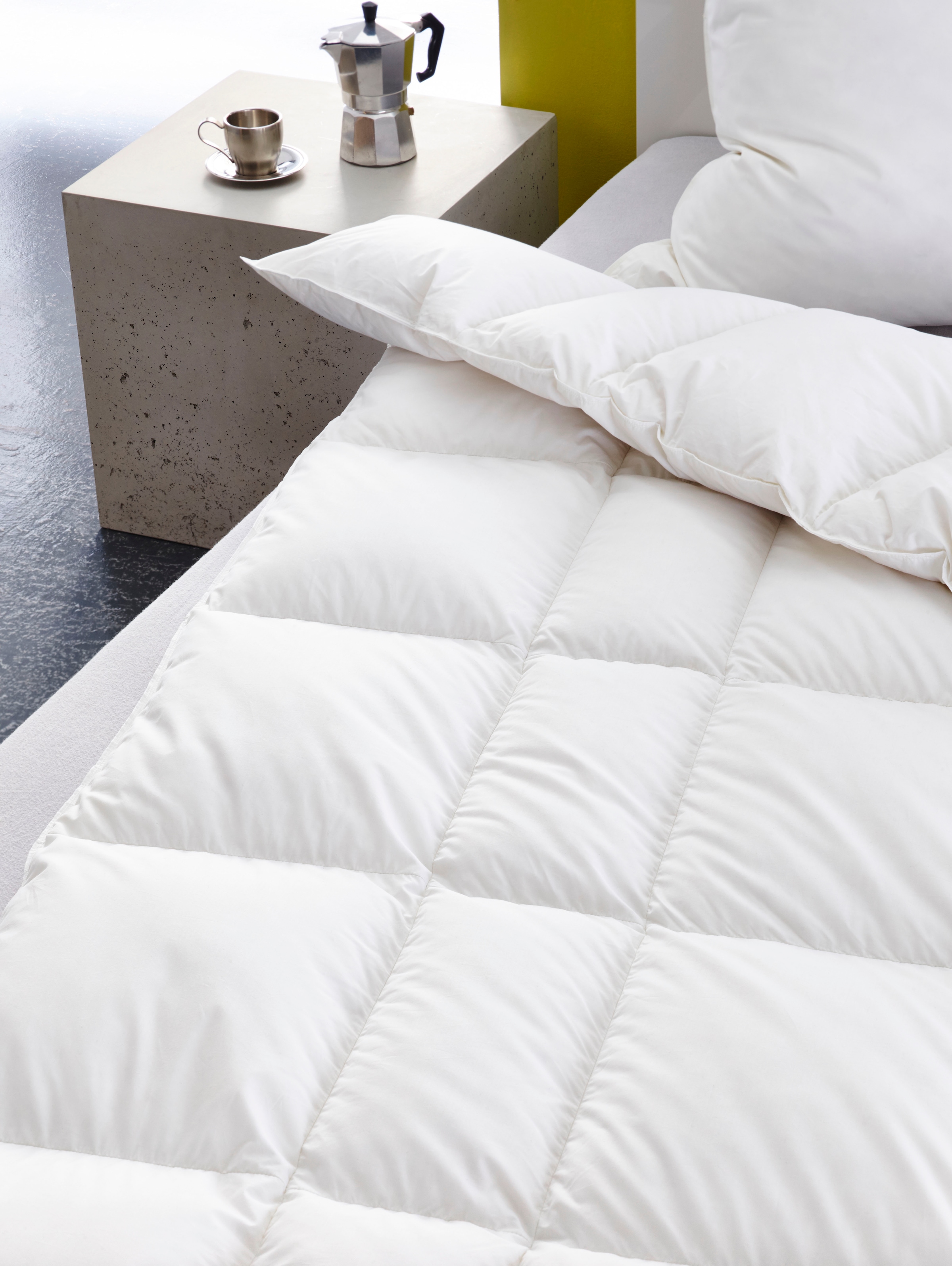 Haeussling Gänsedaunenbettdecke »Select - Made in Green«, extrawarm, Füllung 100% Gänsedaunen, Bezug 100% Baumwolle, (1 St.), hochwertiges Daunenprodukt