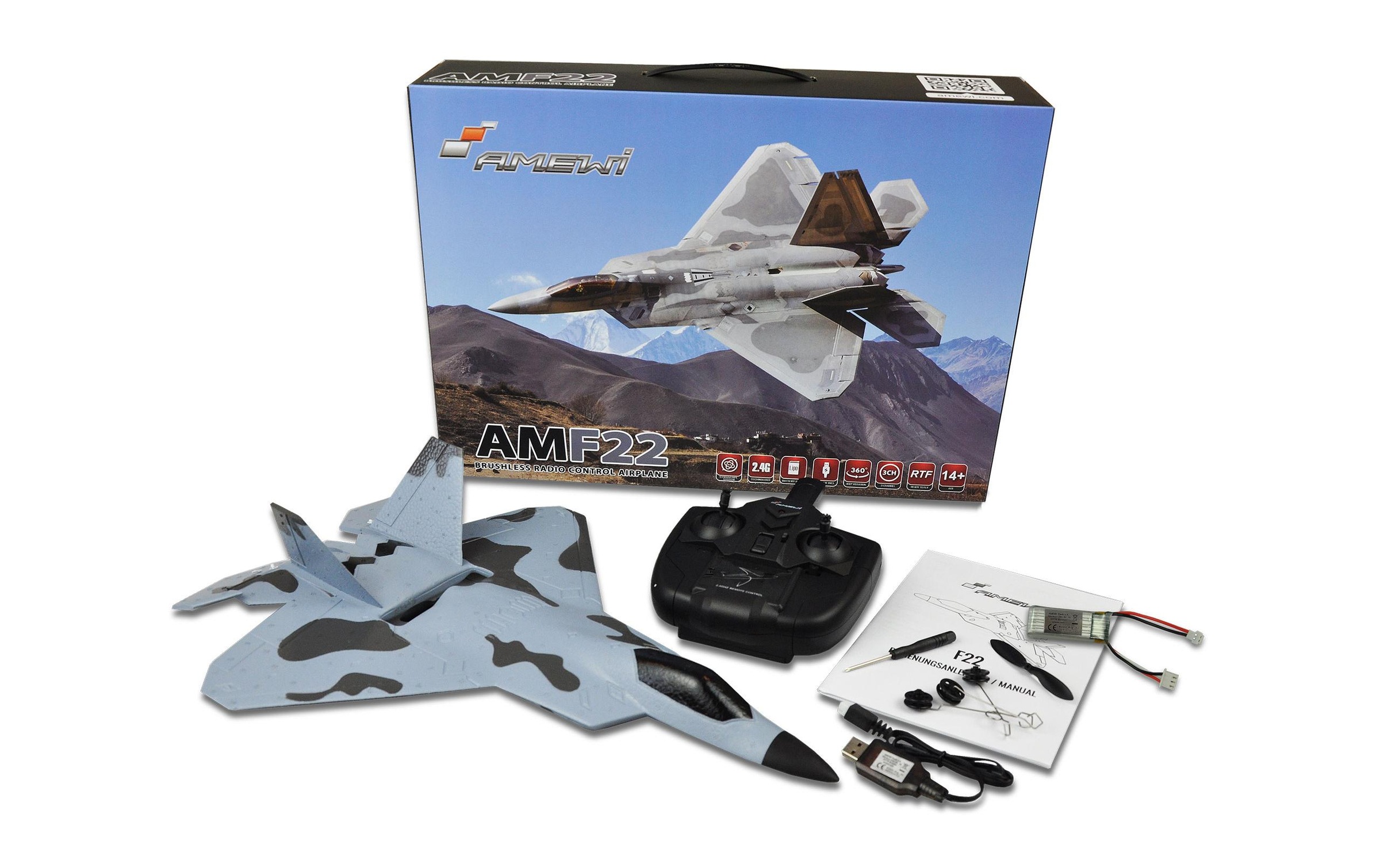 Amewi RC-Flugzeug »Jet F22 mit Gyro, Brushless RTF«