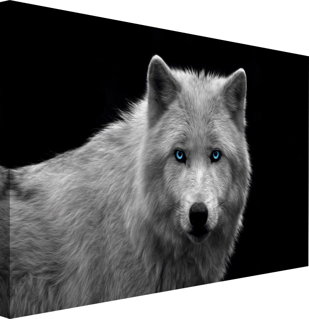 ♕ Reinders! Wandbild »Wolfsauge« versandkostenfrei auf