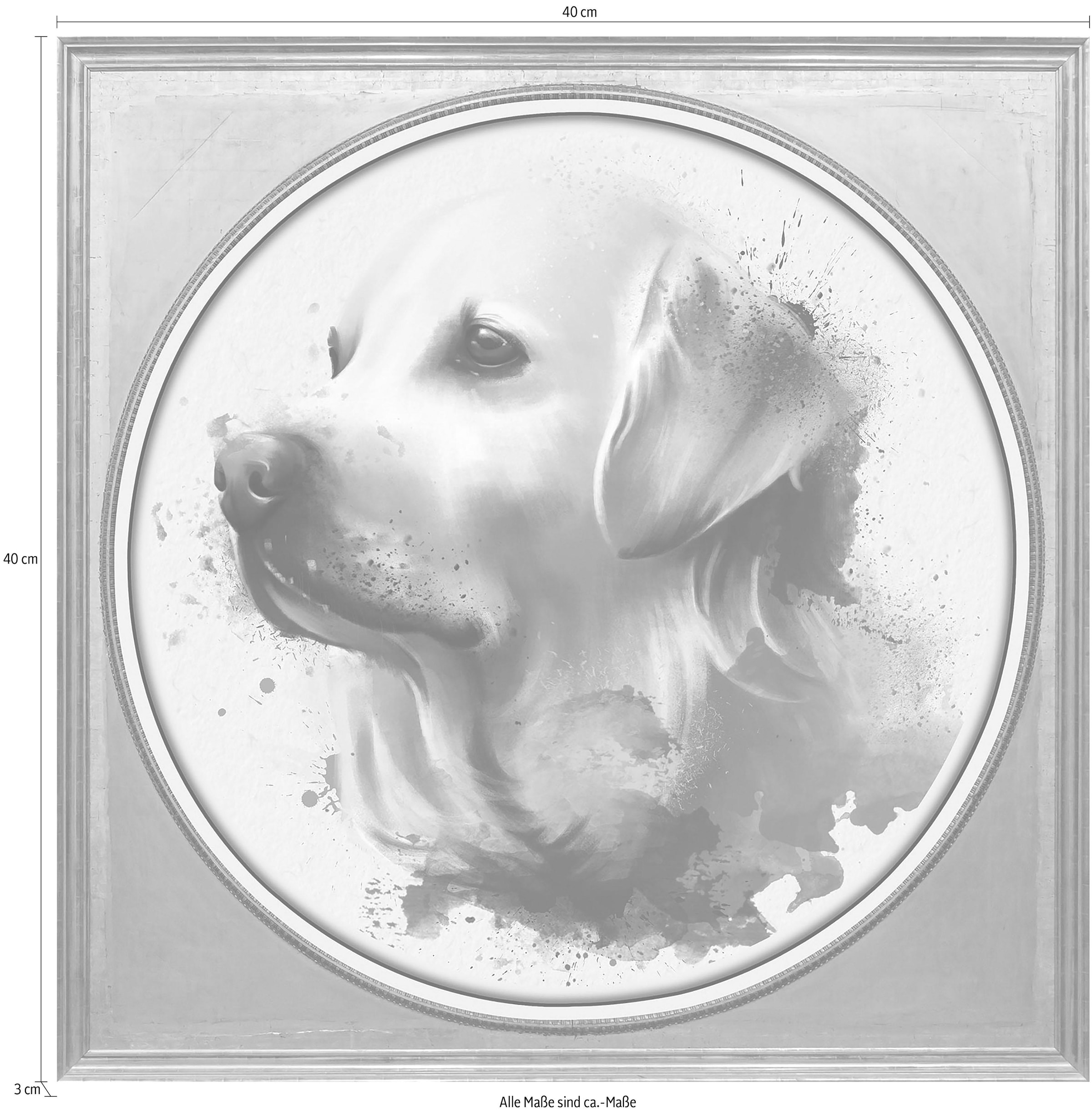 queence Acrylglasbild »Golden Retriever«, Kunst-Gemälde-Tiere-Hund-Hunde-Hundebilder-Haustiere, Fine Art-Print in Galeriequalität