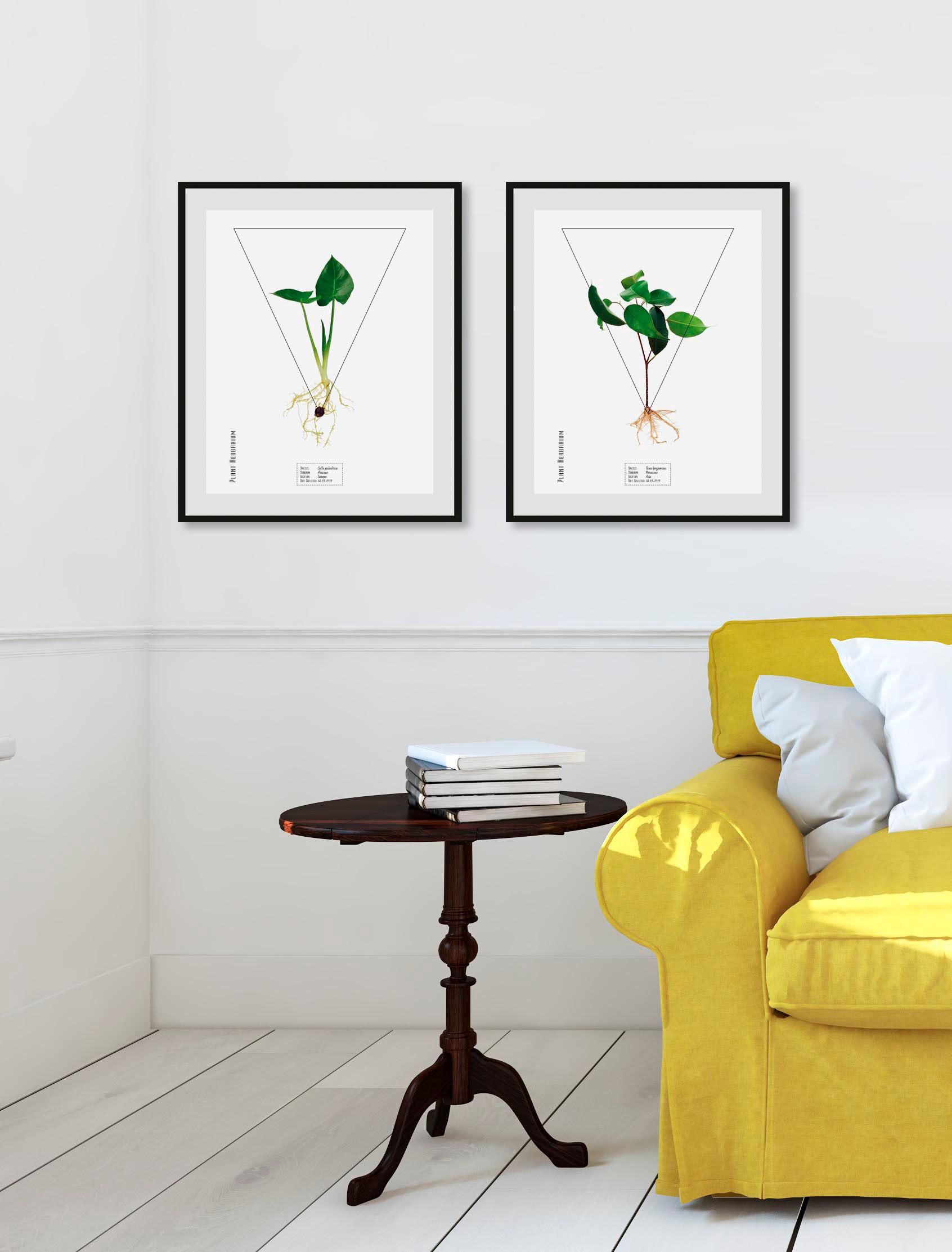 Image of queence Bild "Calla palustrisa" Pflanzen Pflanzenbilder Schriftzug 1 Stk. tlg. HD Premium Poster-Druck inkl. Holzrahmen