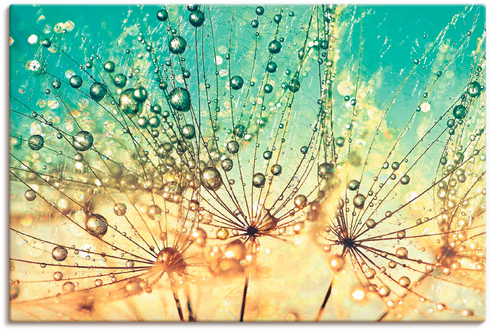 Image of Artland Wandbild »Pusteblume Tropfenmagie«, Blumen, (1 St.), in vielen Grössen & Produktarten - Alubild / Outdoorbild für den Aussenbereich, Leinwandbild, Poster, Wandaufkleber / Wandtattoo auch für Badezimmer geeignet bei Ackermann Versand Schweiz