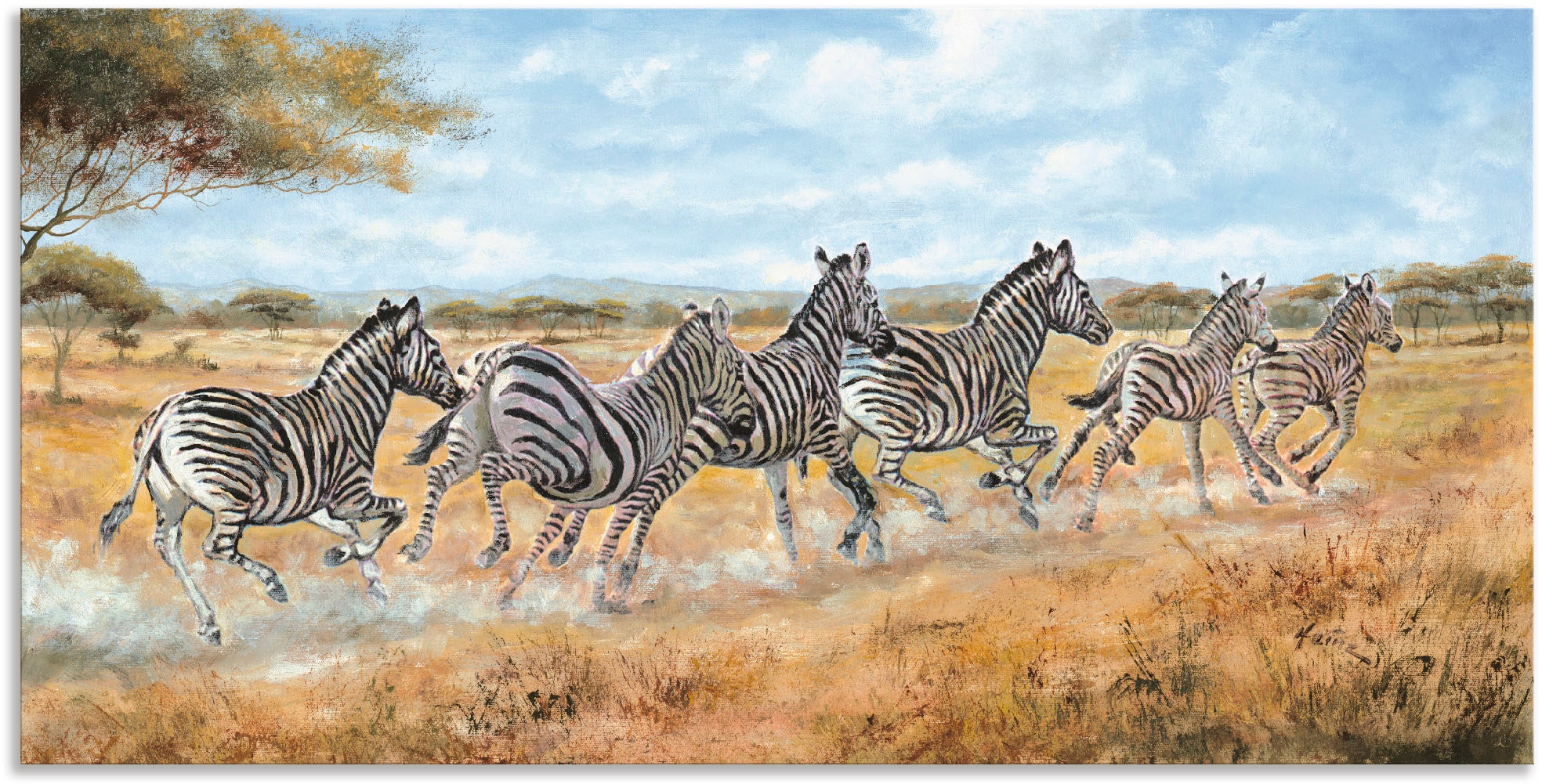 Artland Wandbild »Laufende Zebras«, (1 Wildtiere, Wandaufkleber Leinwandbild, Grössen jetzt in oder als St.), Alubild, Poster versch. kaufen