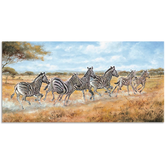 Artland Wandbild »Laufende Zebras«, Wildtiere, (1 St.), als Alubild,  Leinwandbild, Wandaufkleber oder Poster in versch. Grössen jetzt kaufen