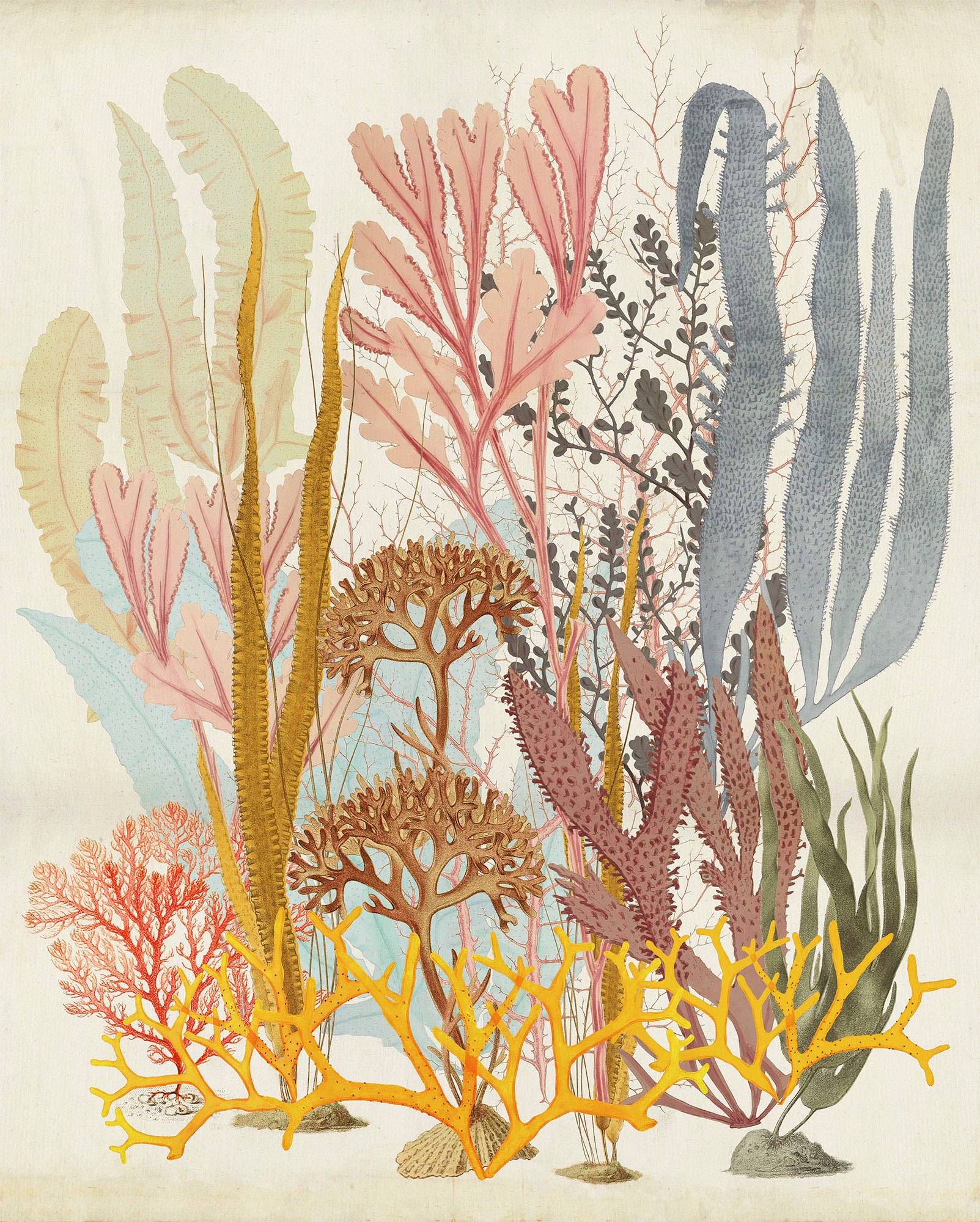 Image of Komar Vliestapete "Digitaldruck Vlies - Catchy Corals - Grösse 200 x 250 cm" bedruckt glatt Wohnzimmer, Schlafzimmer