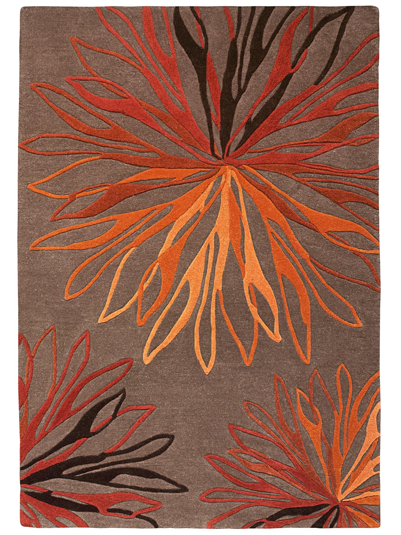 Image of heine home Teppich, 20 mm Höhe bei Ackermann Versand Schweiz