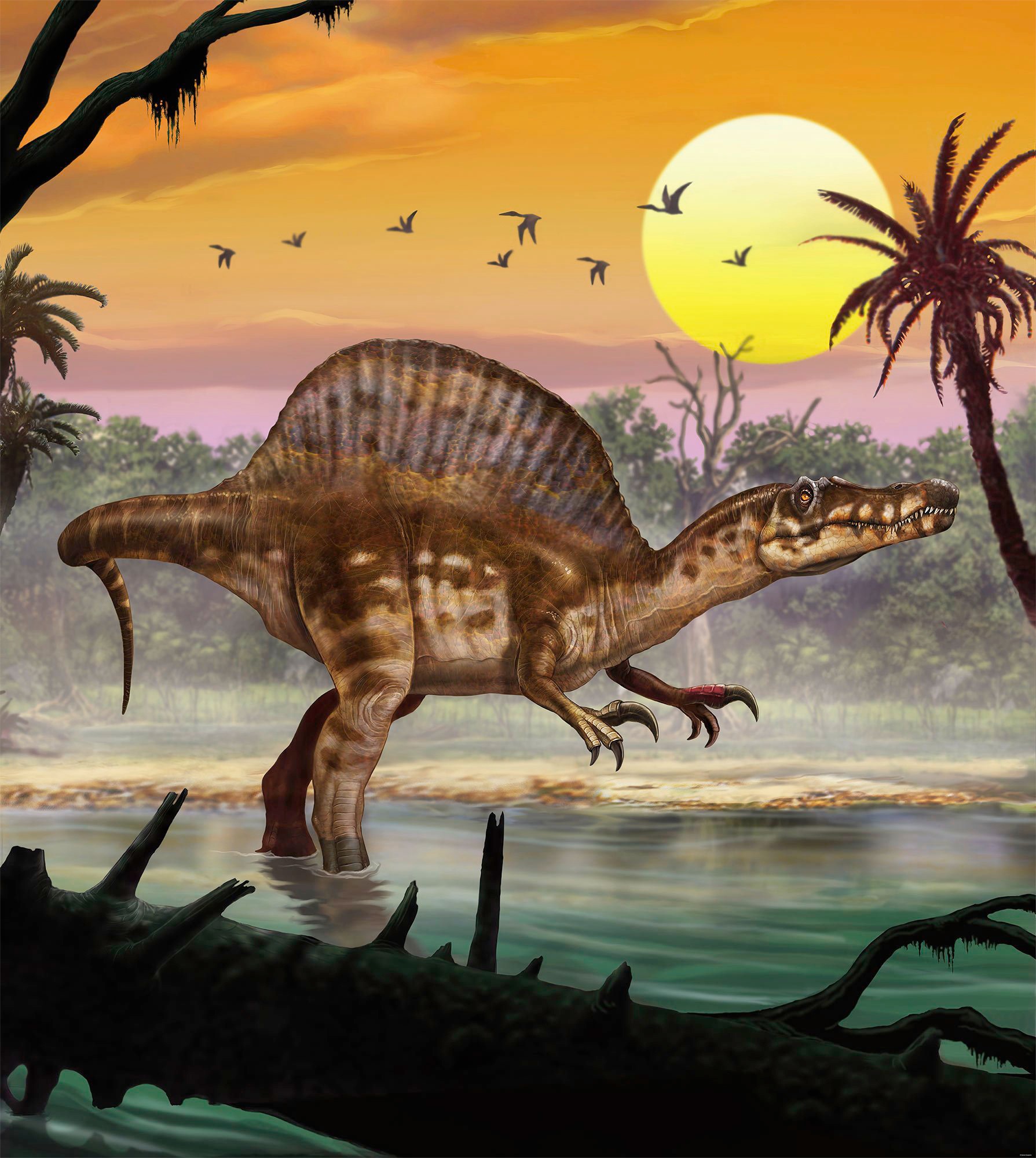 Image of Komar Fototapete »Spinosaurus«, bedruckt-Comic-Retro-mehrfarbig, BxH: 250x280 cm bei Ackermann Versand Schweiz