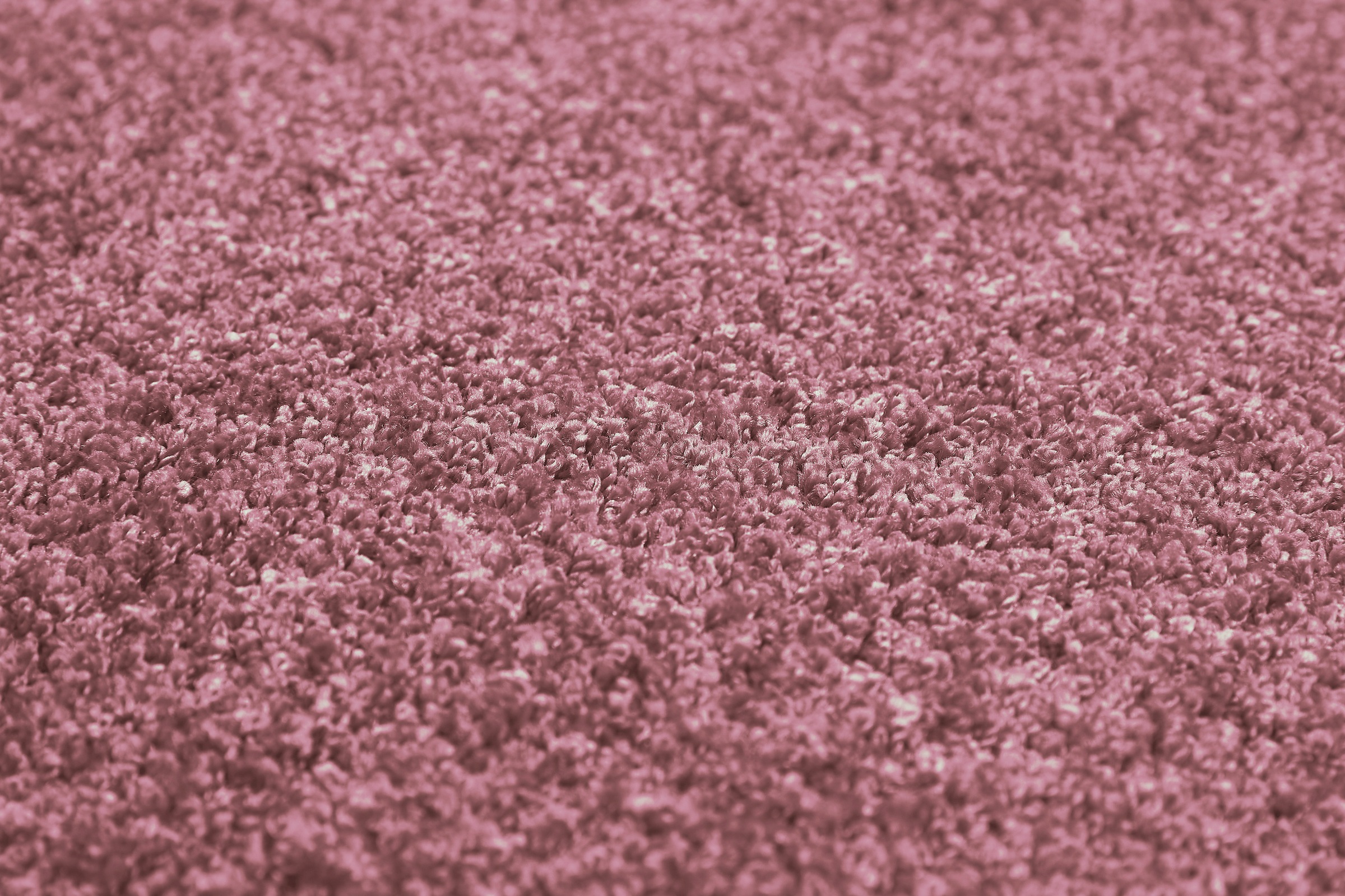 Image of Andiamo Teppichboden »Portland«, rechteckig, 11 mm Höhe, Meterware, Breite 400 cm, in verschiedenen Farben erhältlich, Wohnzimmer bei Ackermann Versand Schweiz