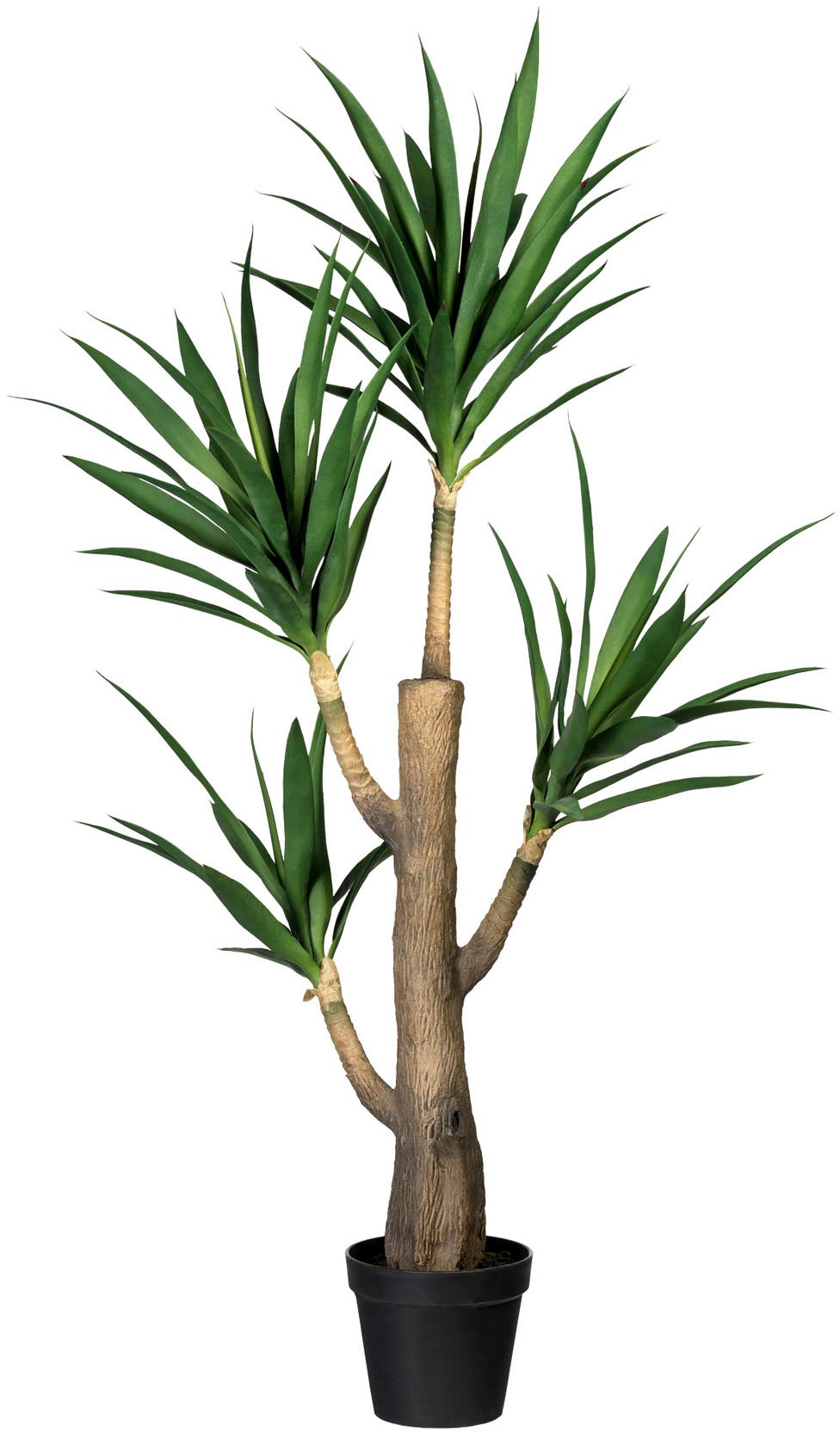 Image of Creativ green Künstliche Zimmerpflanze »Dracaena fragans«, (1 St.), im Zementtopf bei Ackermann Versand Schweiz