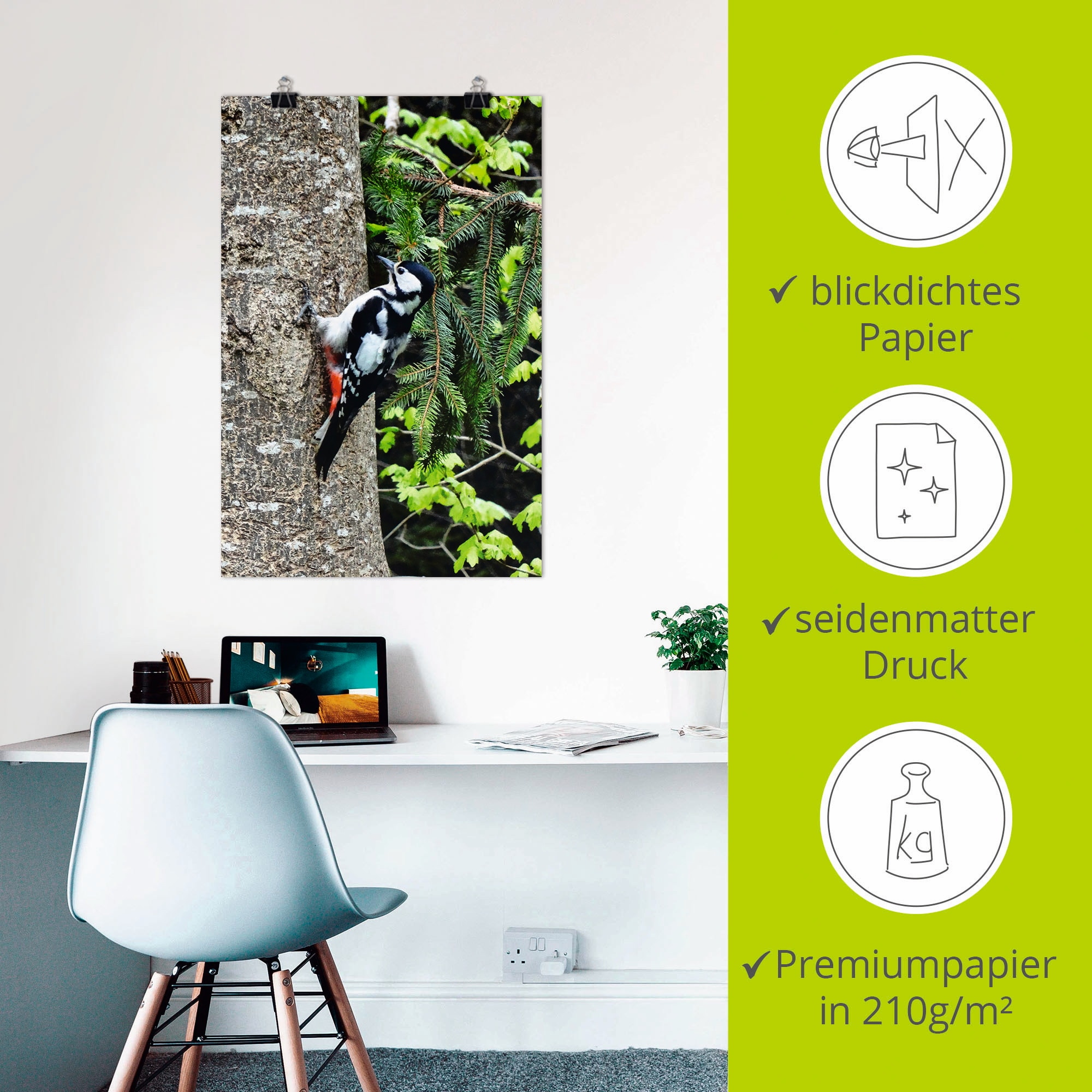 Artland »Buntspecht im Wald« 1 cuis tlg. ohne Rahmen