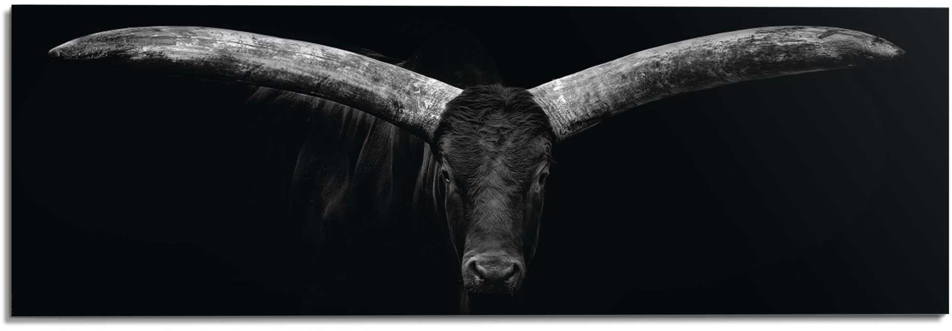 Image of Reinders! Wandbild »Ochse« bei Ackermann Versand Schweiz