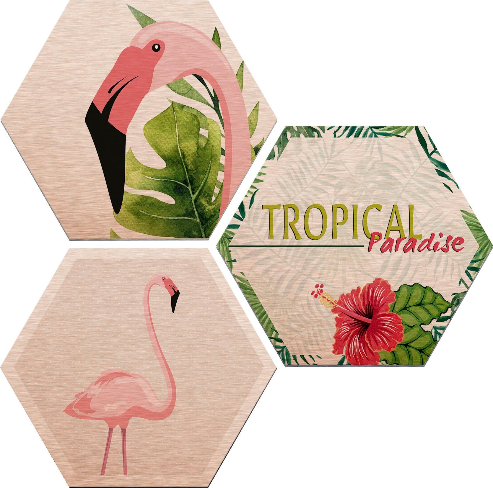 Image of Wall-Art Alu-Dibond-Druck »Flamingo 03«, (Set) bei Ackermann Versand Schweiz