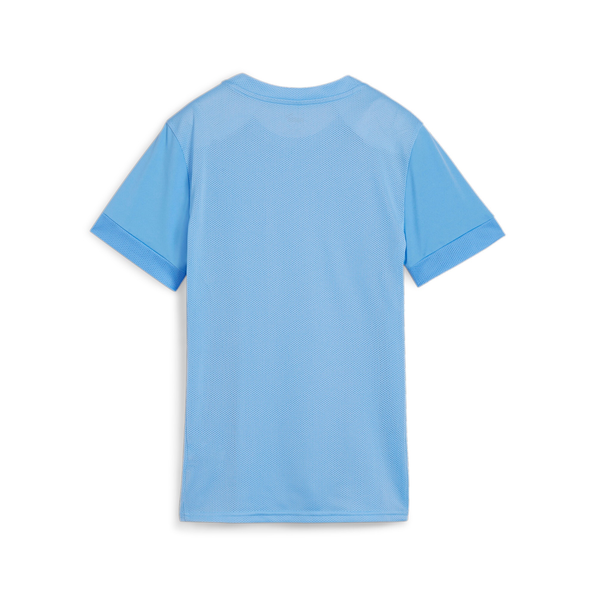 PUMA Trainingstop »TEAMGOAL MATCHDAY JERSEY WMNS«