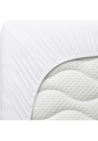 Schlafgut Spannbettlaken »Jersey-Elasthan«, für Split-Topper kaufen Schlafgut Spannbettlaken »Jersey-Elasthan«, für Split-Topper kaufen