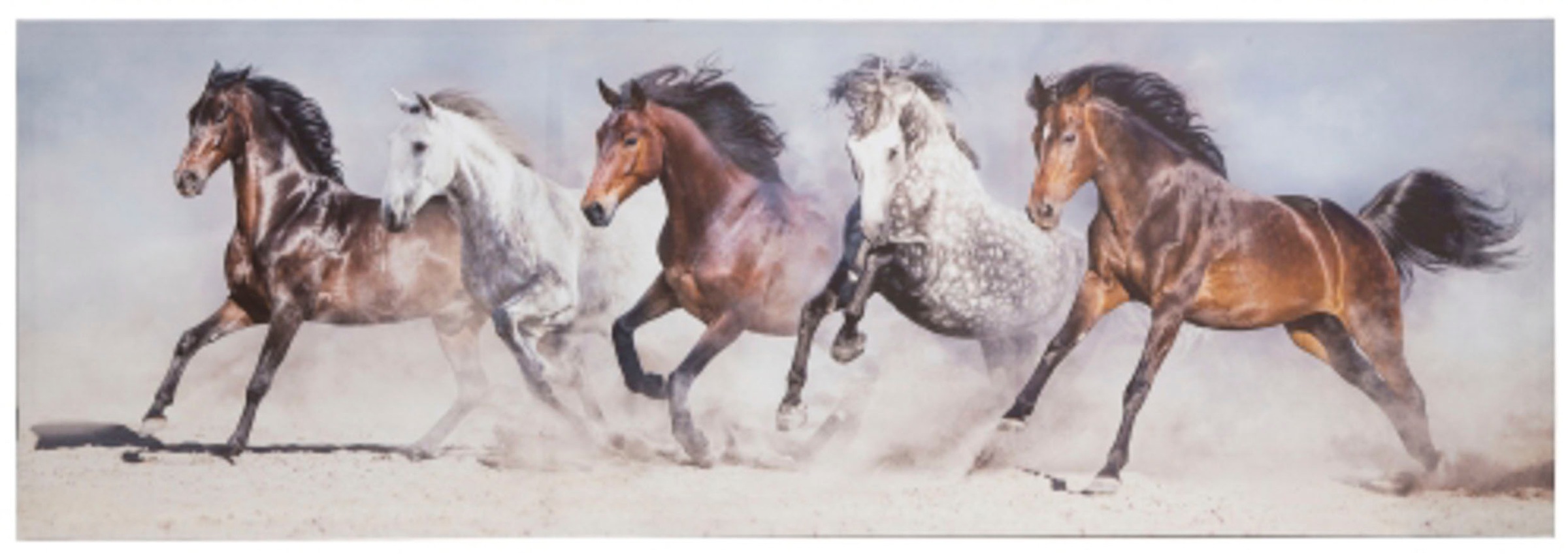 Image of Spiegelprofi GmbH Leinwandbild »Horses«, (1 St.), hochwertiger Kunstdruck, bedruckte Seitenränder bei Ackermann Versand Schweiz