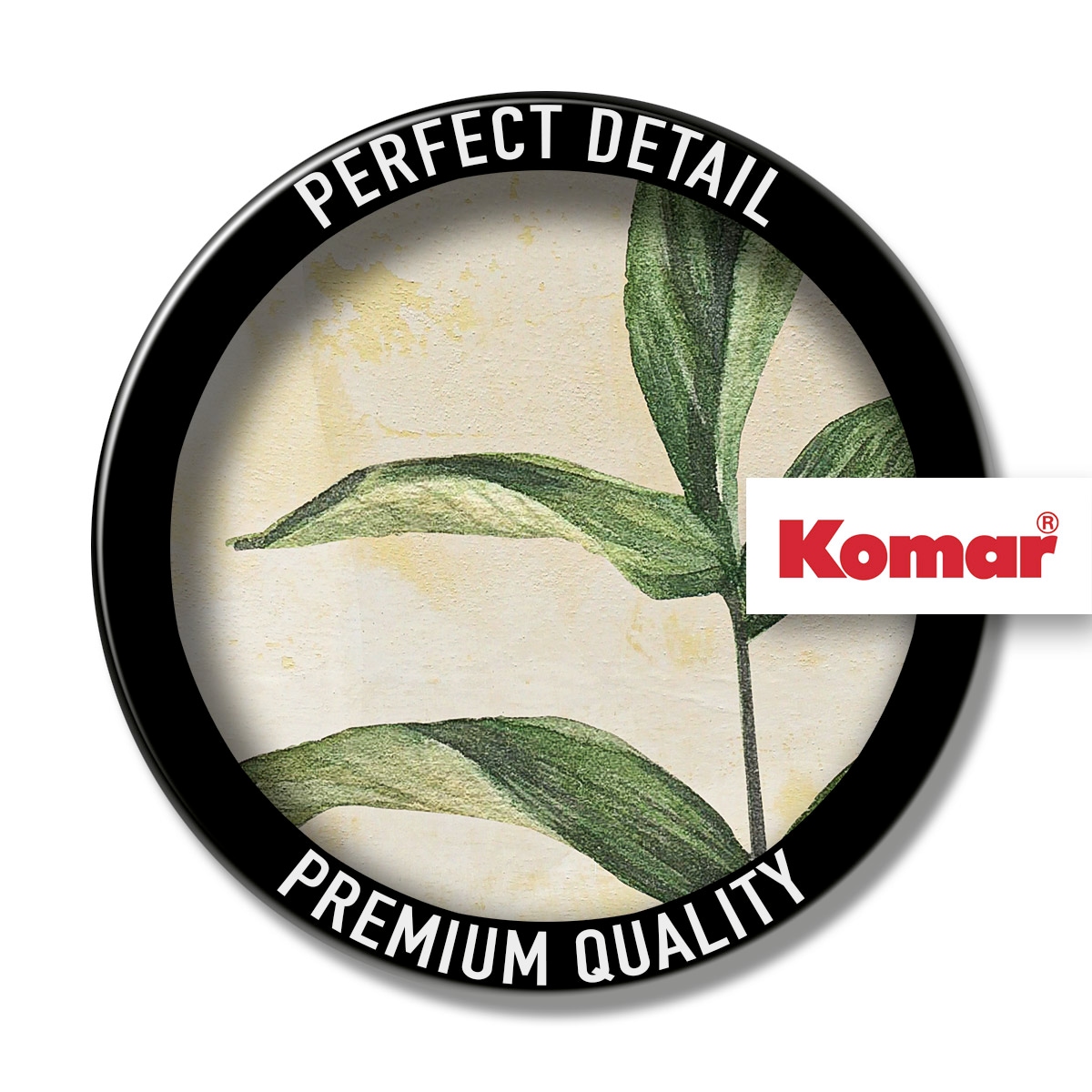 Komar Tableau sur toile »Desert Survivor - Grösse 30 x 40 cm« 1 cuis tlg. Keilrahmenbild mi Echtholzrahmen