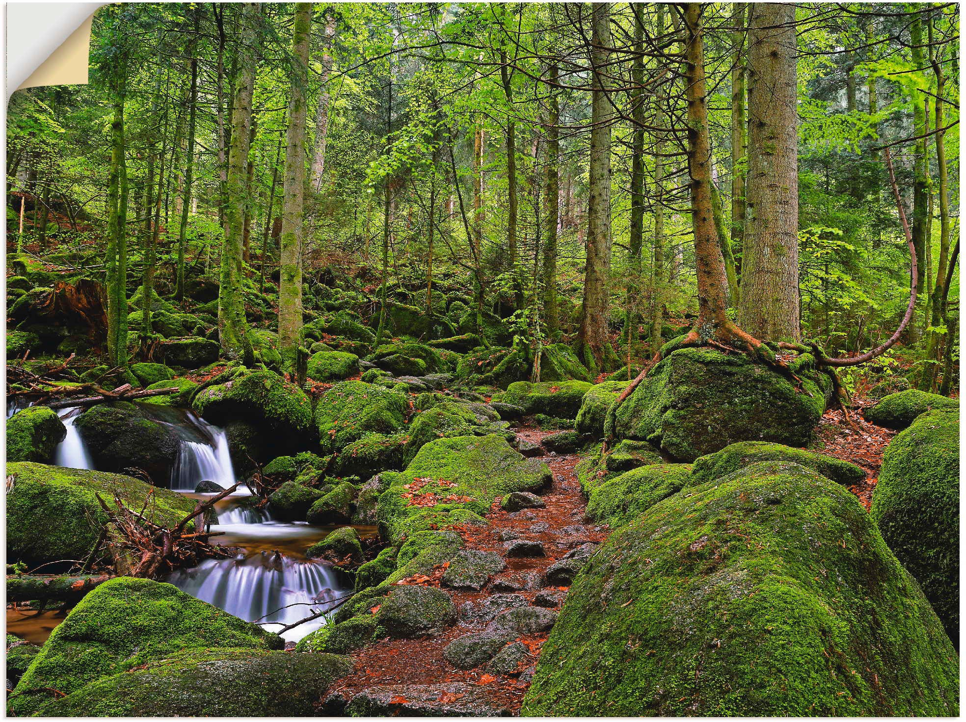 Image of Artland Wandbild »Zauberwald«, Wald, (1 St.), in vielen Grössen & Produktarten -Leinwandbild, Poster, Wandaufkleber / Wandtattoo auch für Badezimmer geeignet bei Ackermann Versand Schweiz