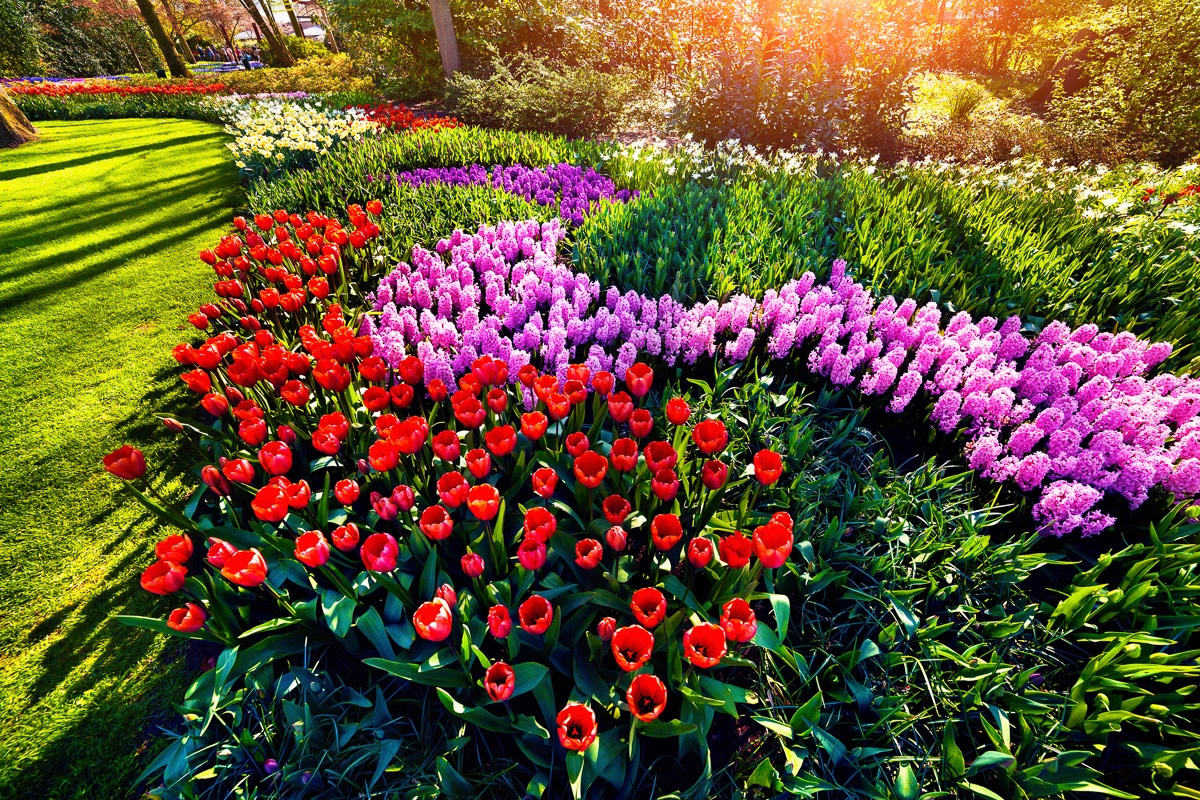 Image of Papermoon Fototapete "Blumen im Garten"