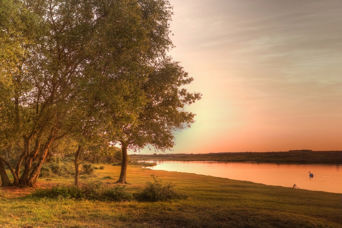 Image of Papermoon Fototapete "Landschaft am Fluss"