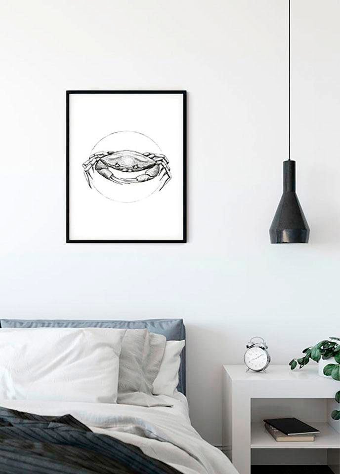 Image of Komar Bild "Crab White" Tiere 1 Stk. tlg. Wandbild zur Dekoration - ohne Rahmen