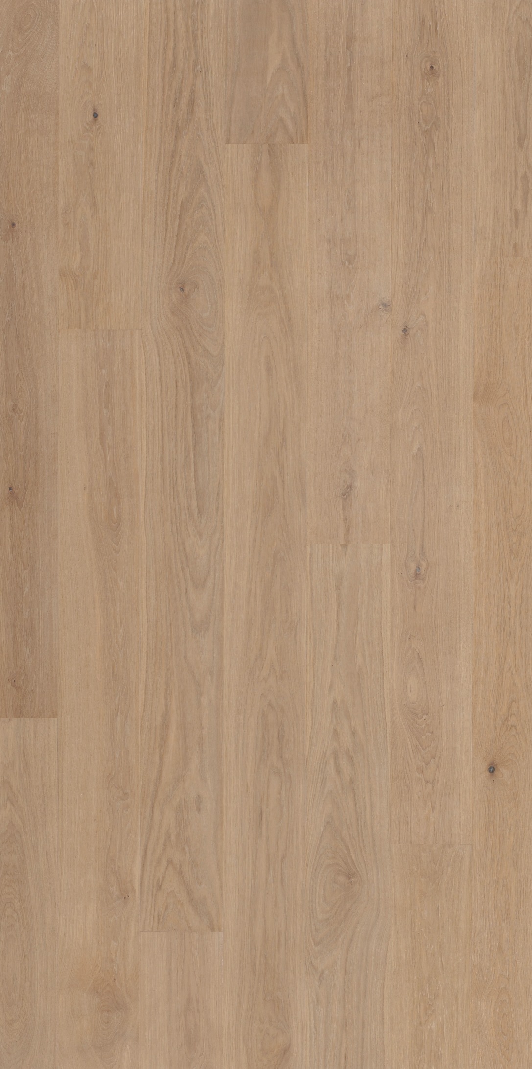 Image of PARADOR Parkett »Classic 3060 Natur - Eiche weiss, lackiert«, (Packung), Klicksystem, 2200 x 185 mm, Stärke: 13 mm, 3,66 m² bei Ackermann Versand Schweiz