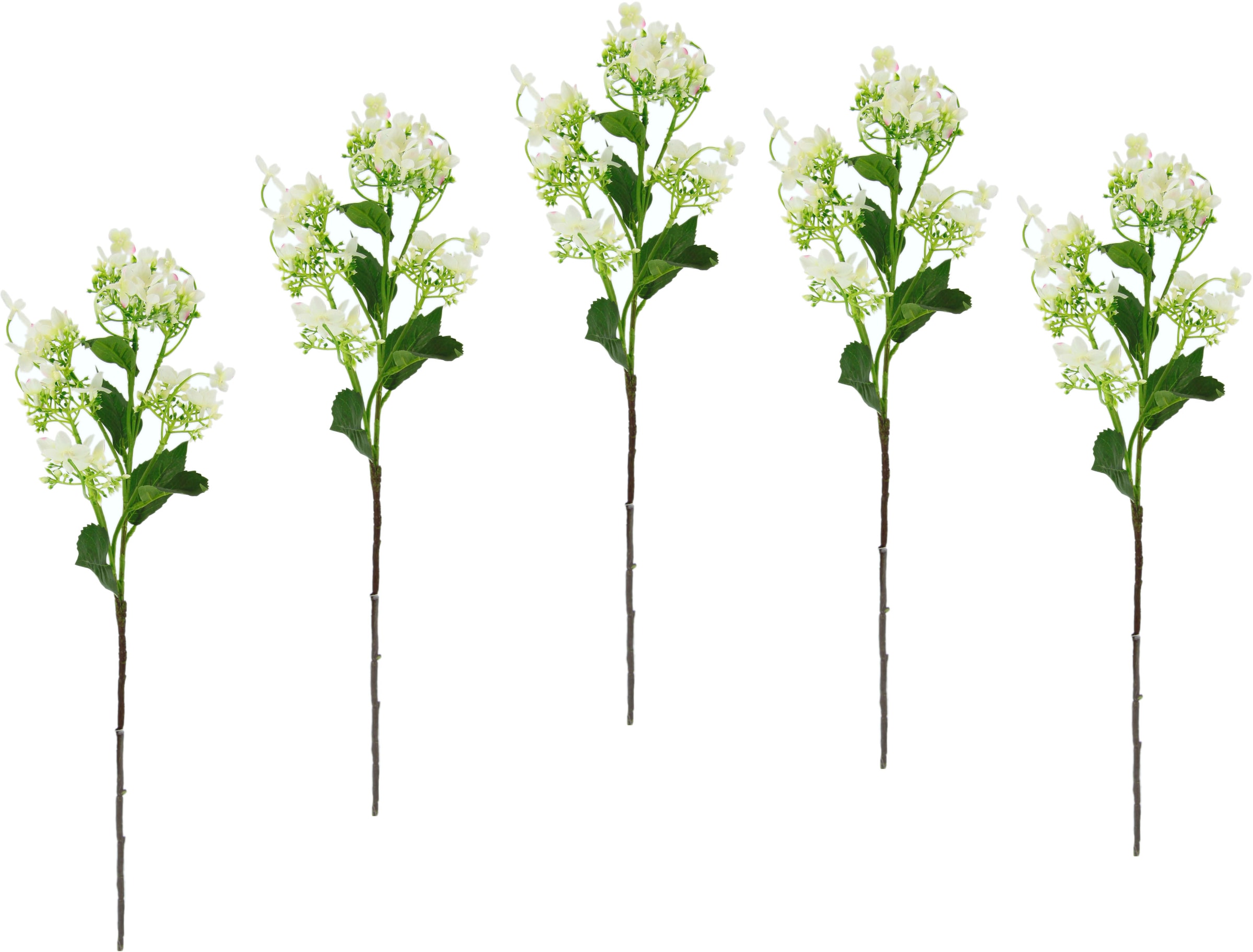 I.GE.A. Kunstblume »Blütenzweig«, 5er Set künstlicher Zweig, Kunstpflanze, Dekozweig