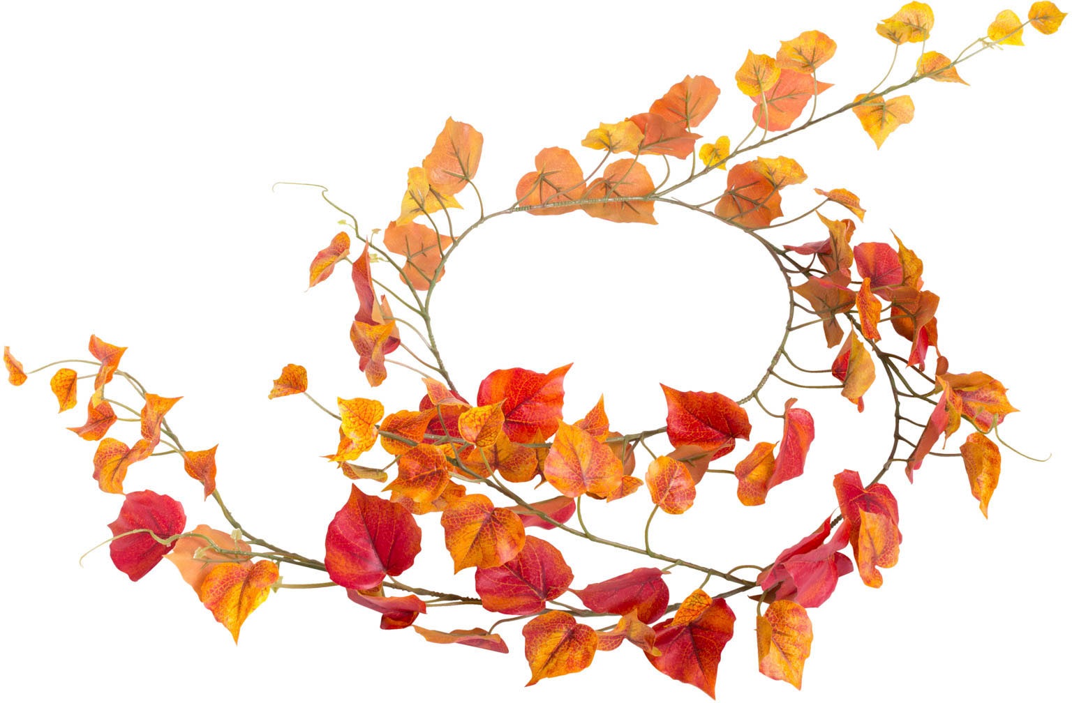 Image of Botanic-Haus Kunstranke »Pappelgirlande«, (1 St.) bei Ackermann Versand Schweiz