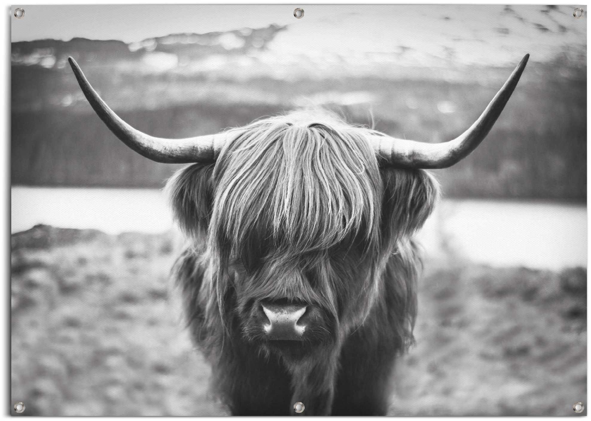 Image of Reinders! Poster »Schottische Hochlandrind«, leichtes und wasserfestes Gartenposter für den Ausseneinsatz bei Ackermann Versand Schweiz