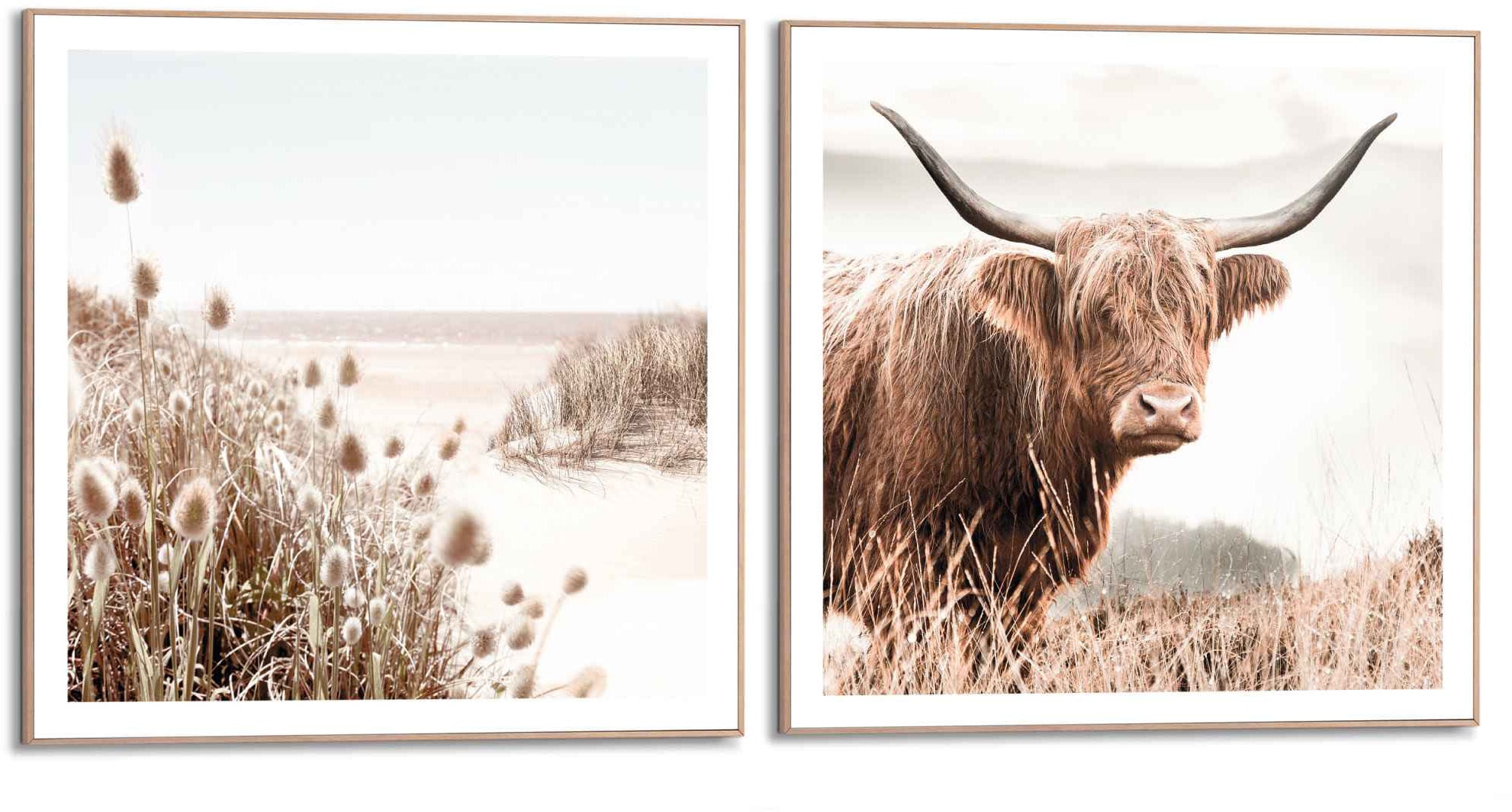 Image of Reinders Wandbild "Freie Natur Highlander - Kuh - Heide - Strand - Ruhe" 2 Stk. tlg.