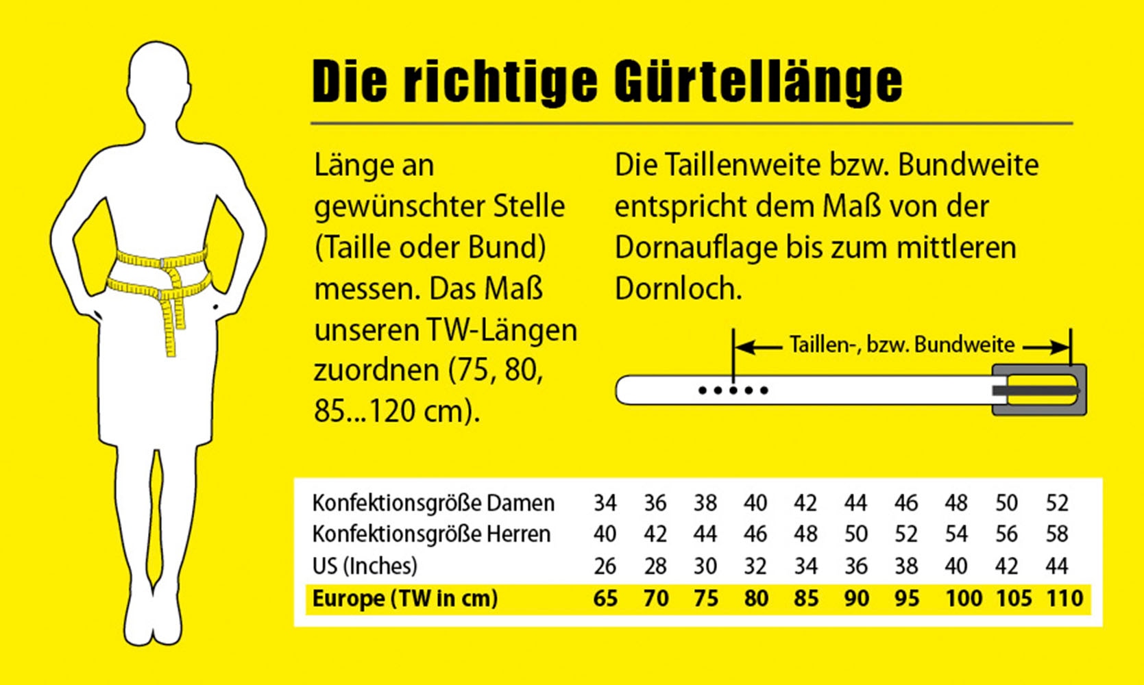 BERND GÖTZ Ledergürtel, in Grossen Grössen bis 160cm